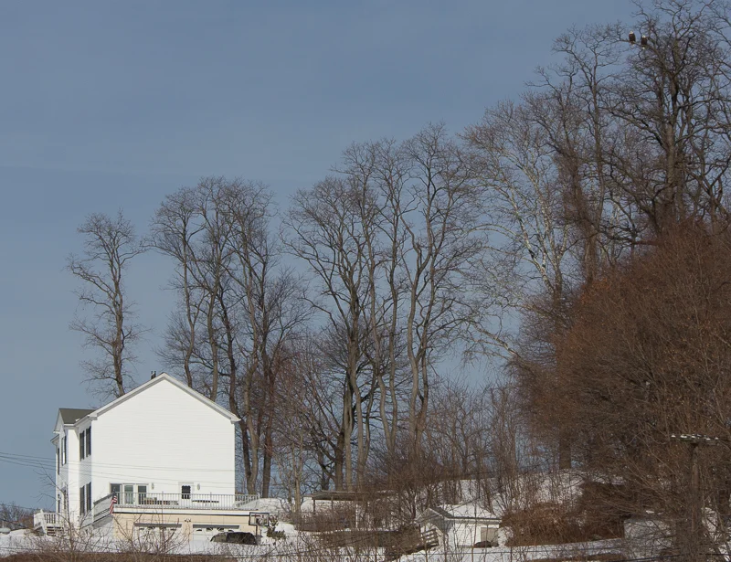 The white house, with two eagles in upper right-hand corner