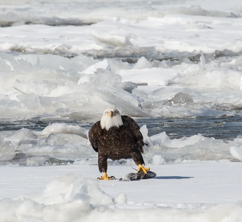 20150307-_J3A3027