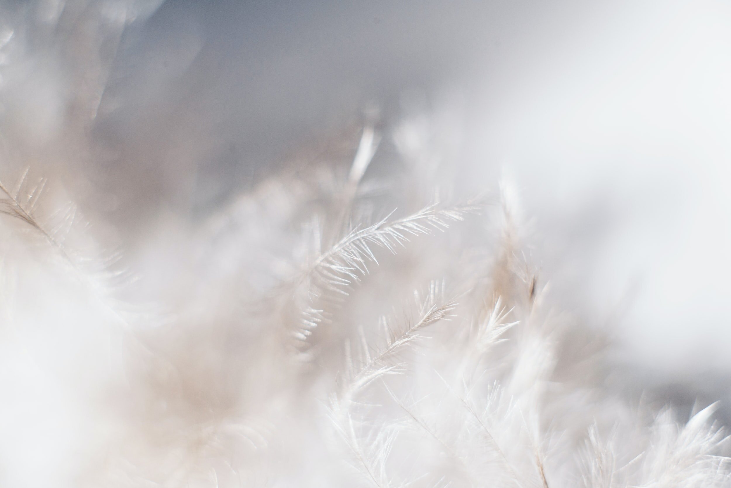 unsplash-image-Sw7f58YJbc0.jpg