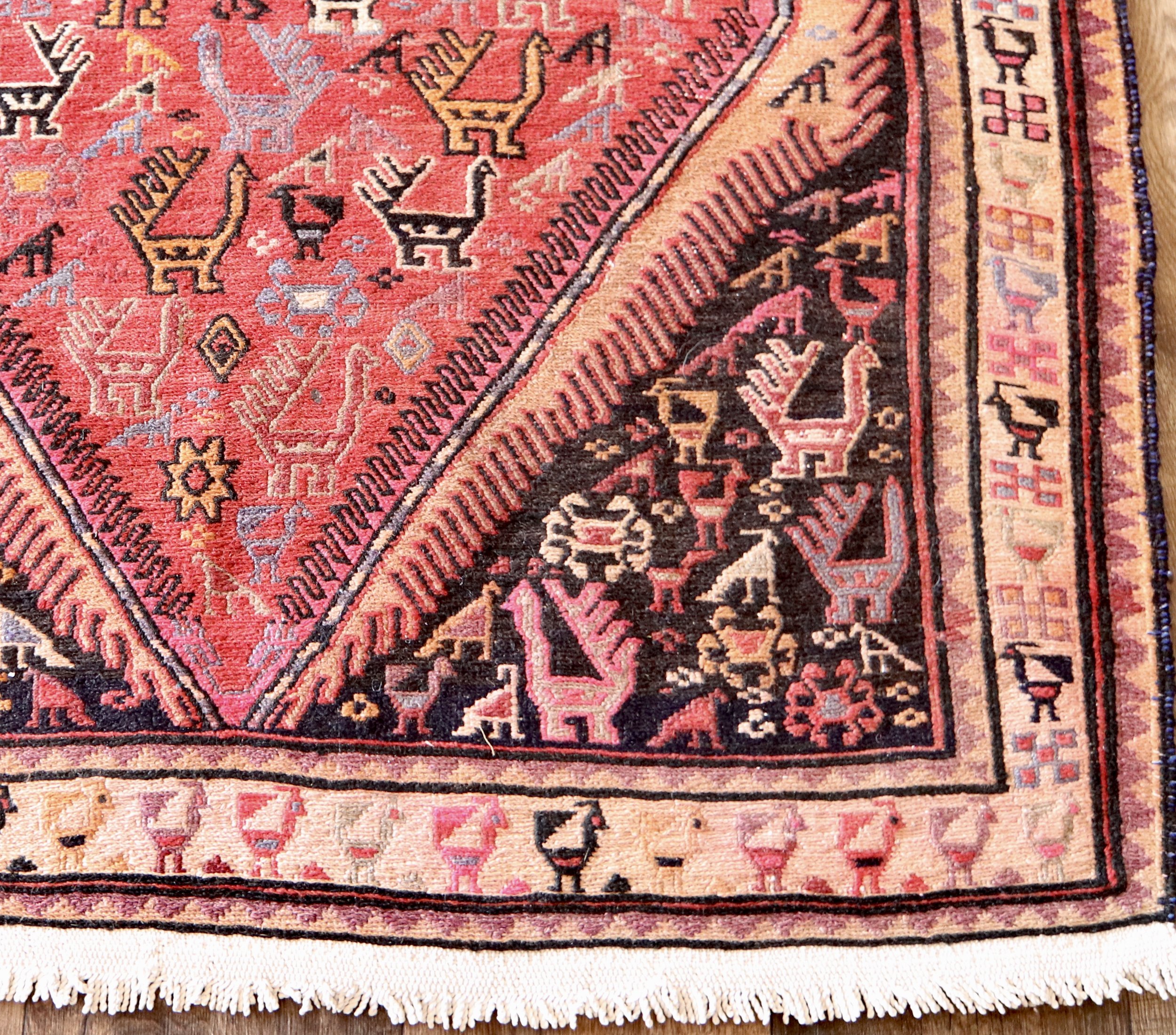 Cleo (3’8” x 9’7”)