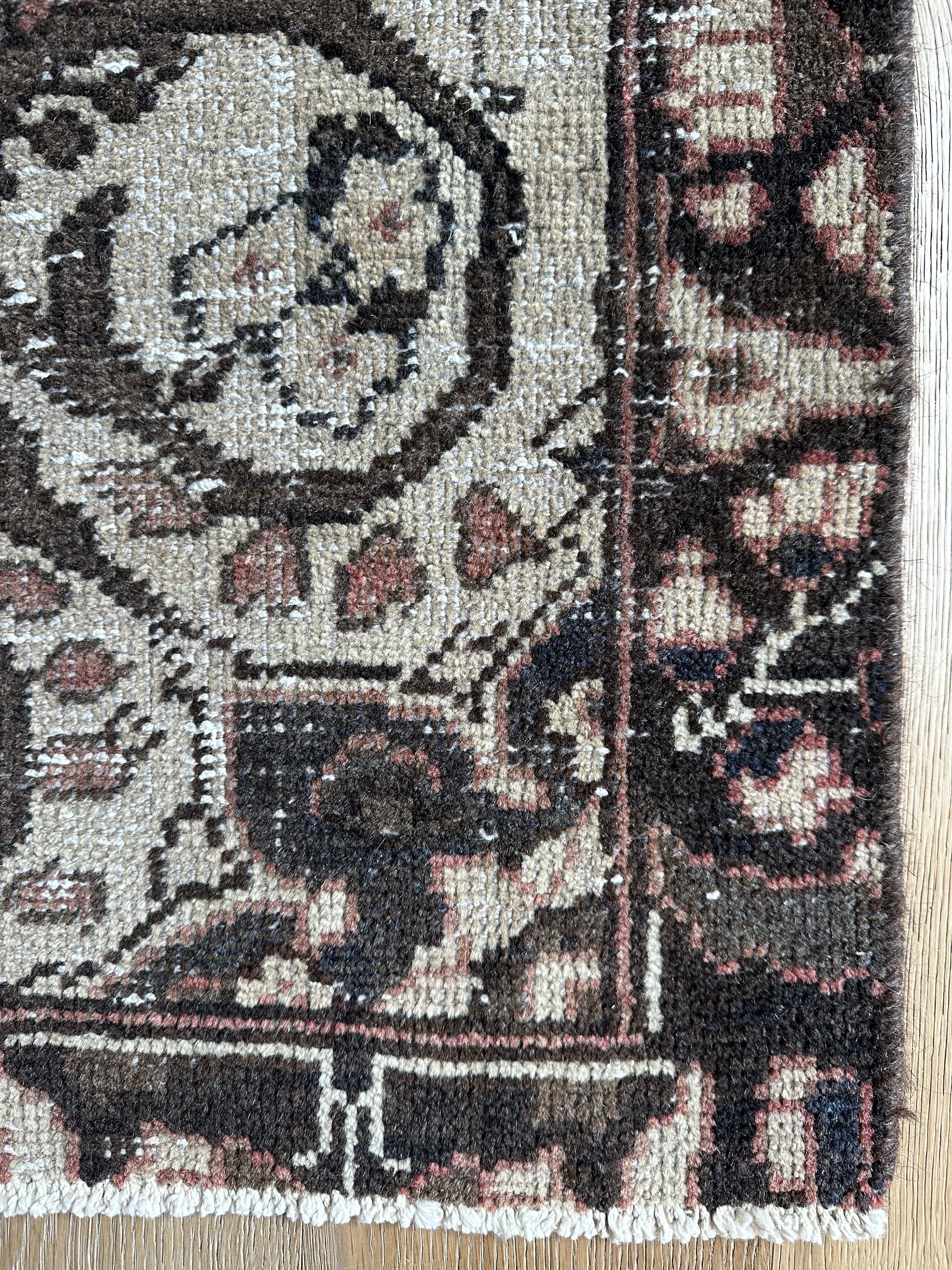 Mateo (3’6”x5’7”)