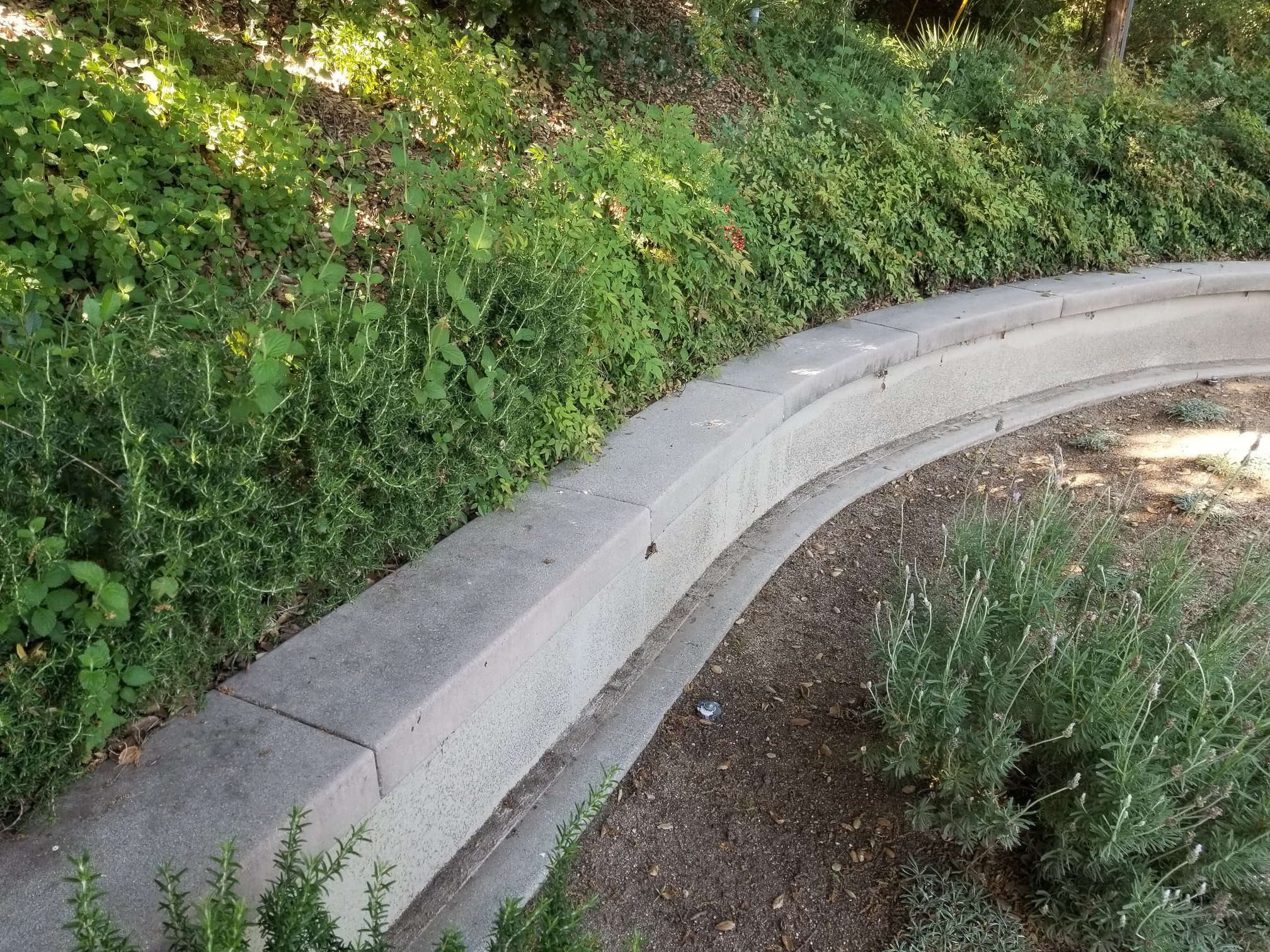 Retaining Wall - Concrete Caps 2.jpg