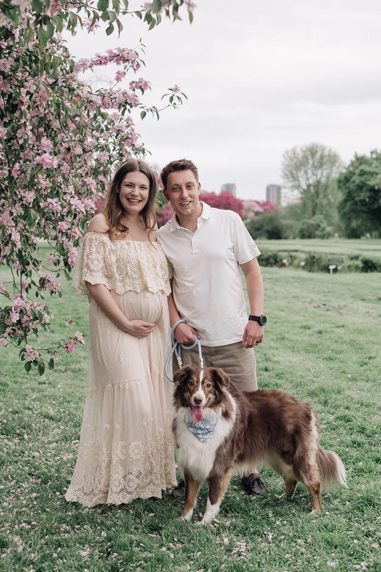 spring-blossom-maternity-photo-dog.jpg