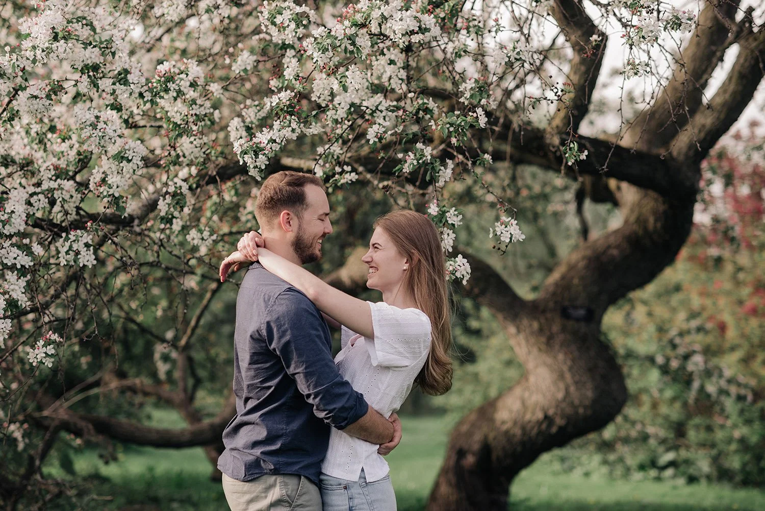 The Best Spring Blossom Locations for Photography in Ottawa