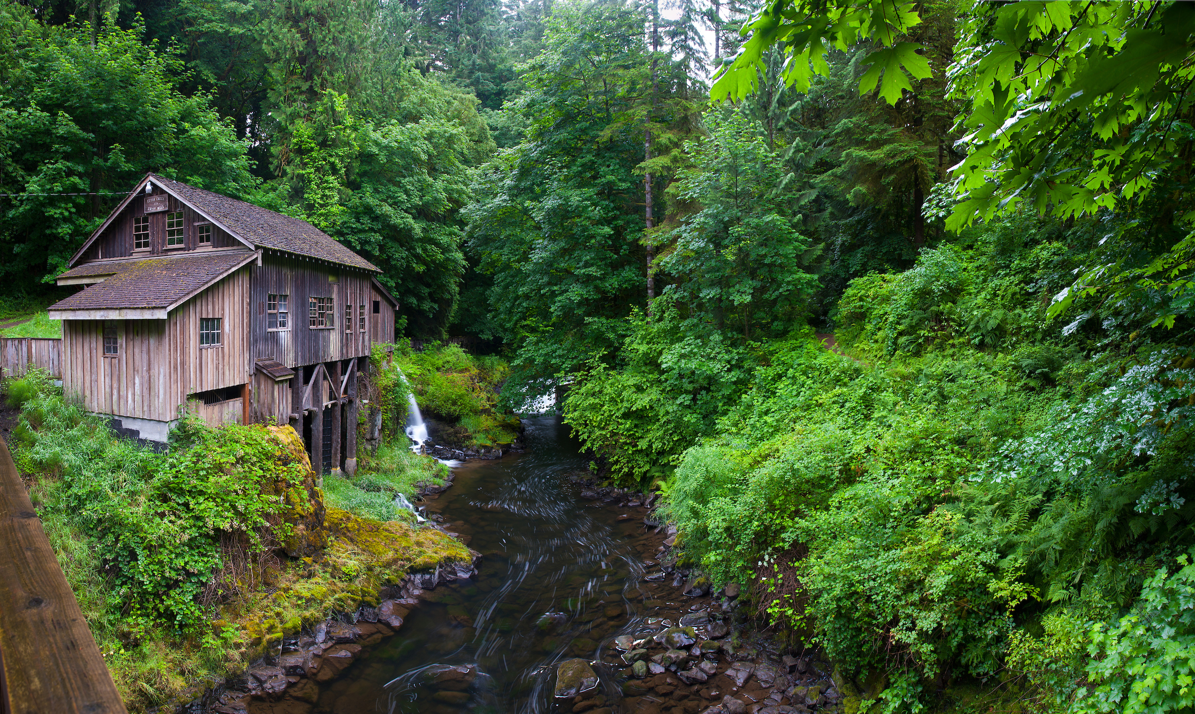 Cedar Creek.jpg