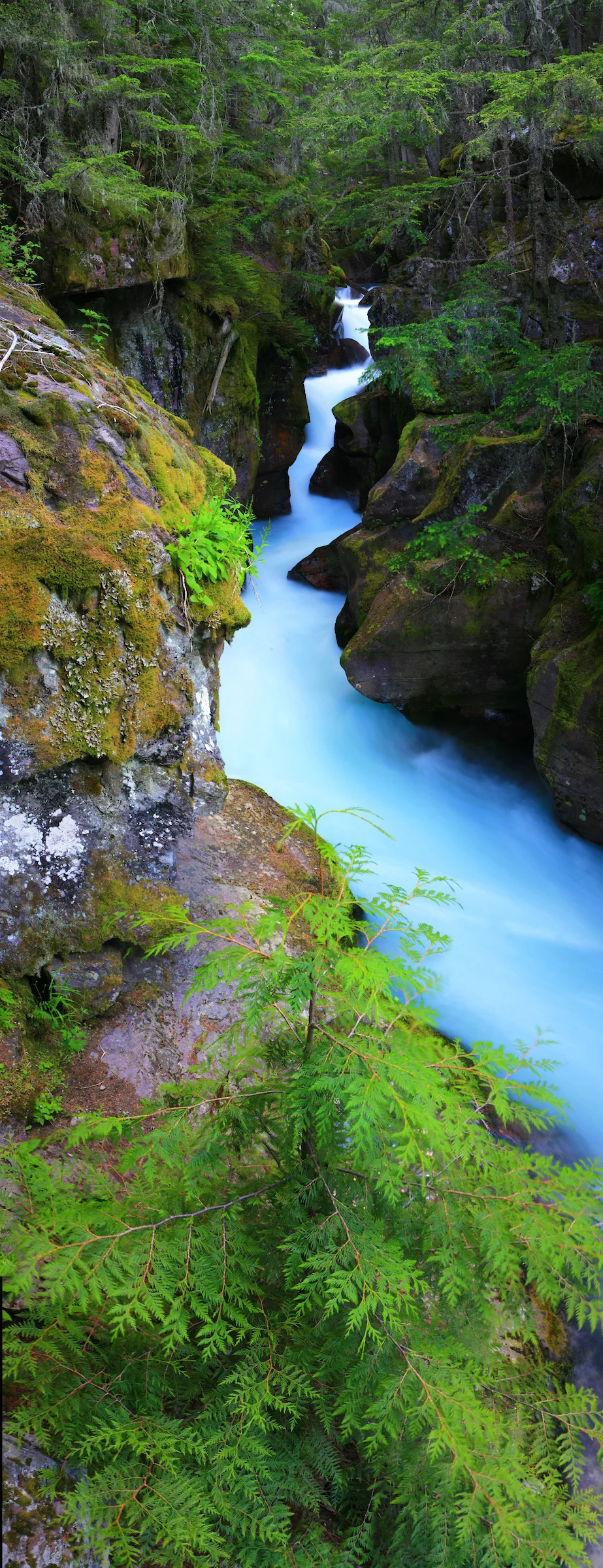 Avalanche Gorge