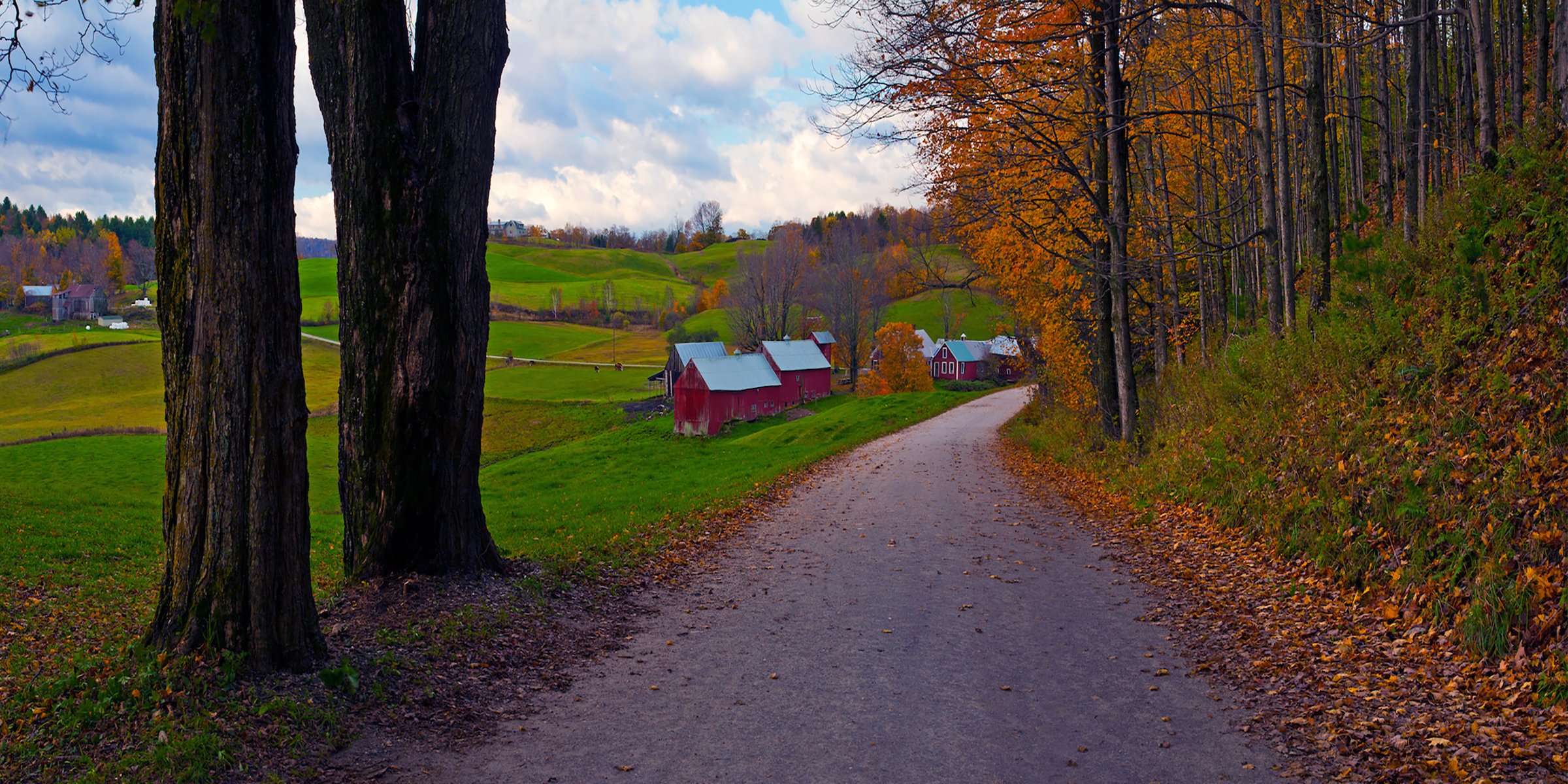Jenne Road