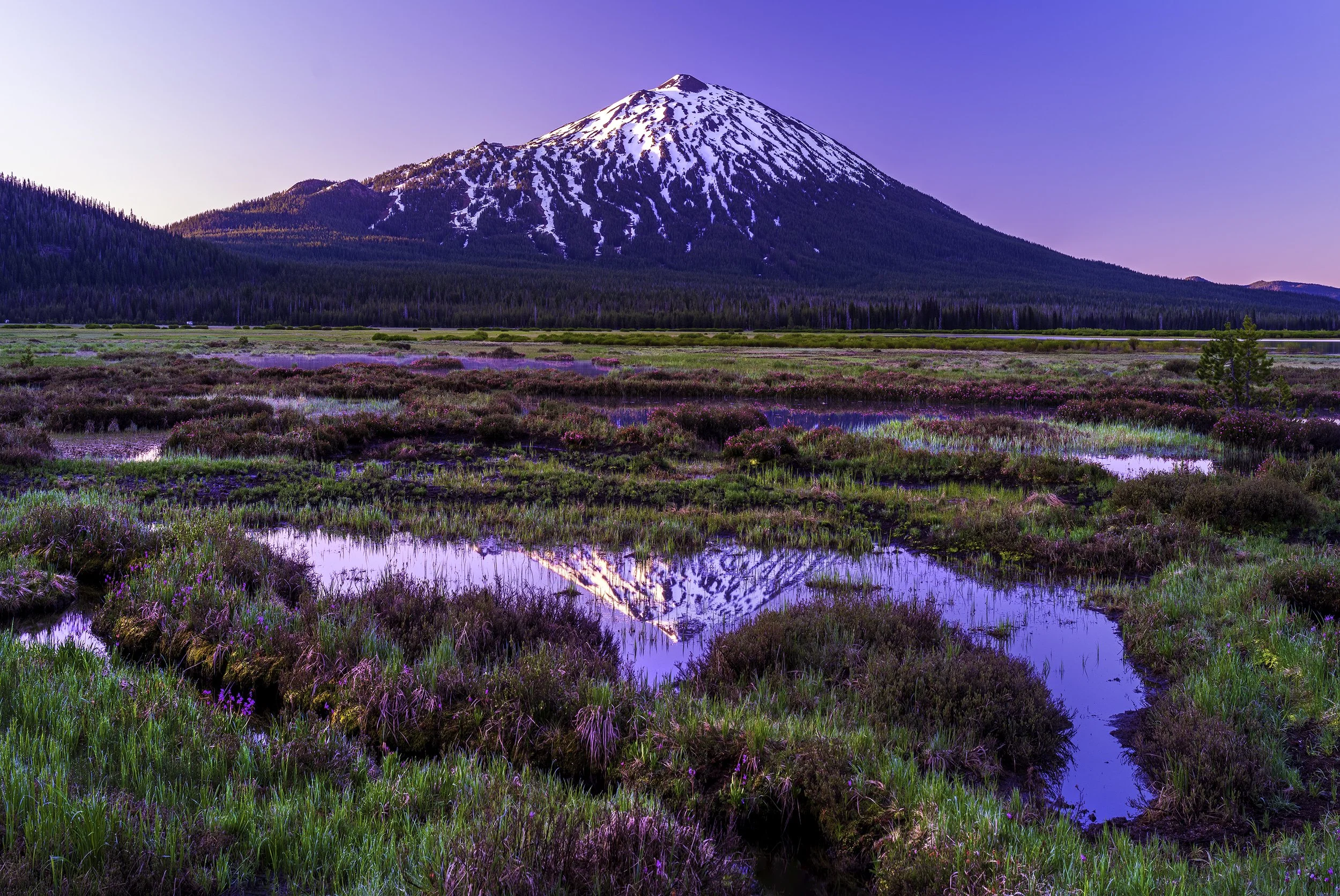 WEB JMP03077-2.jpg