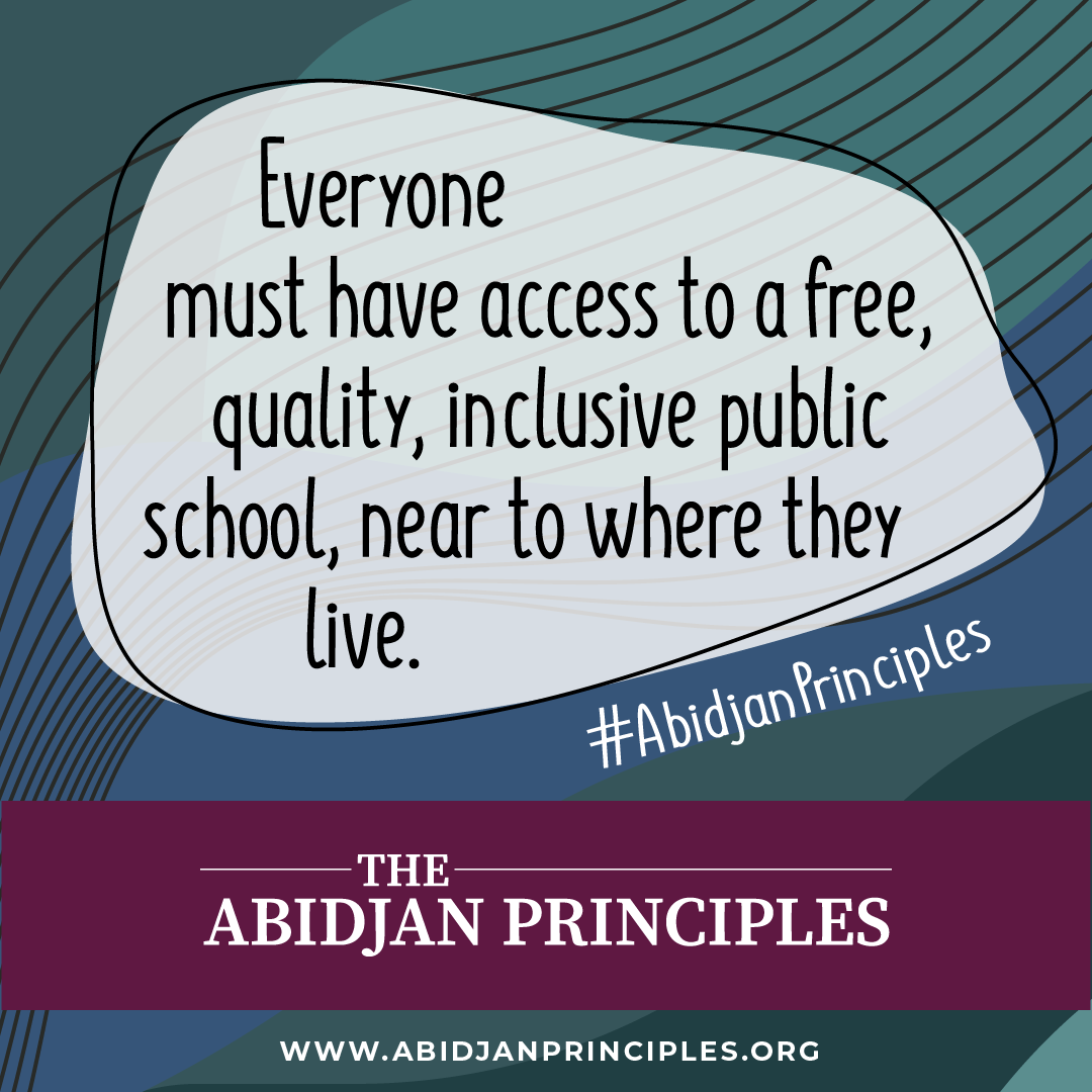 Abidjan Principles Social media 1_Instagram square image 1080 x1080.png