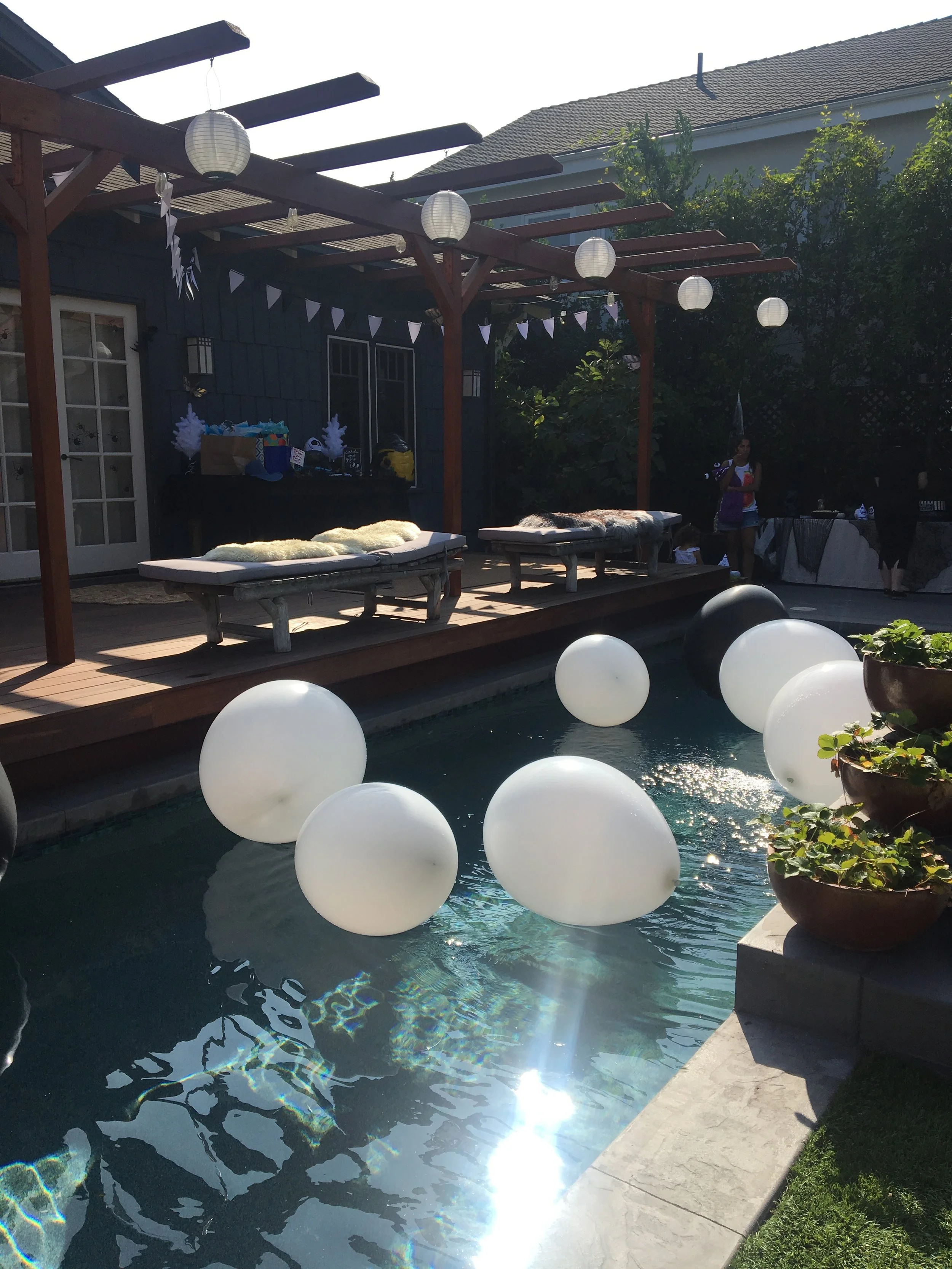 80324483-9D5F-483E-9144-641942871E4C 2.JPG