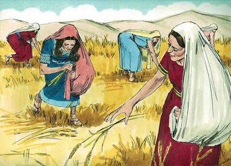 Illustration of Ruth in a wheat field