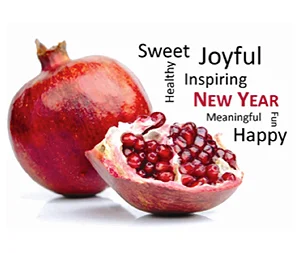 Beit Ruth New Year 2017