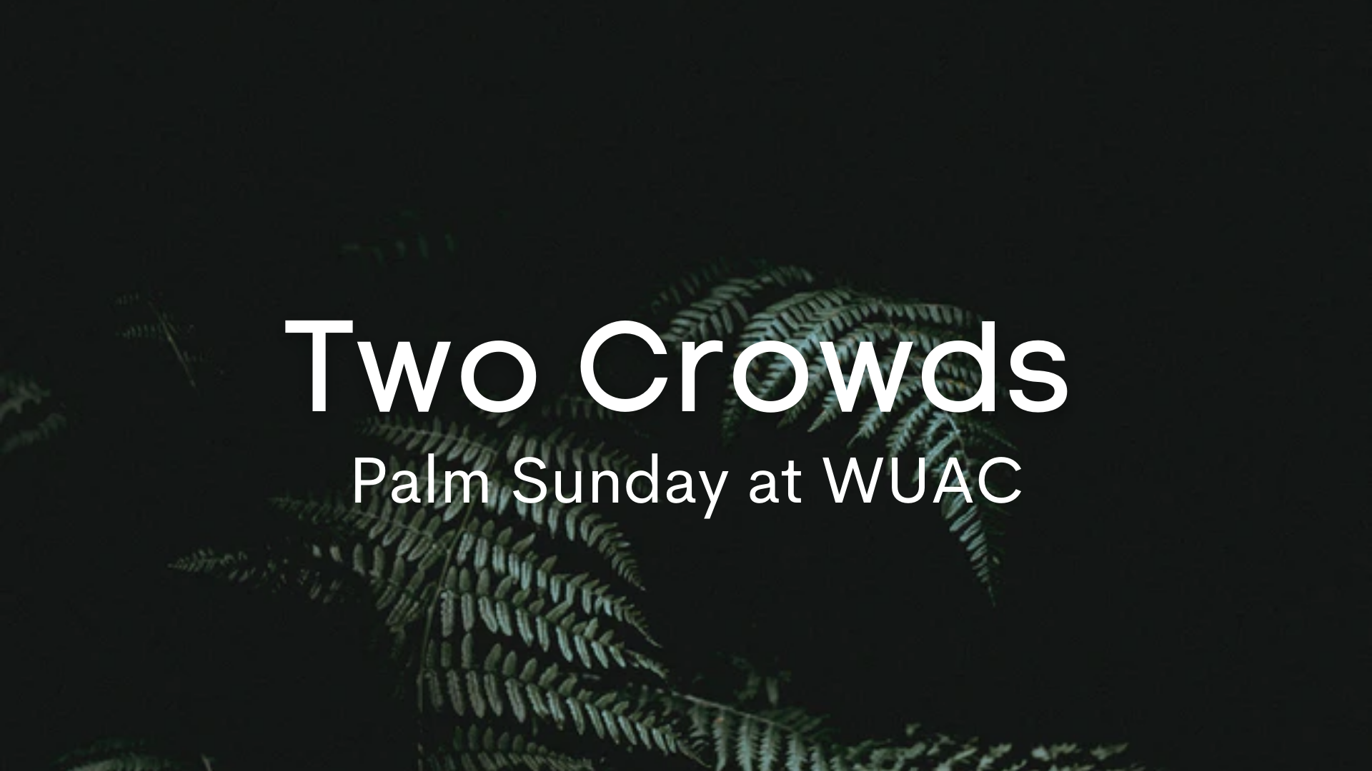 "2 Crowds"