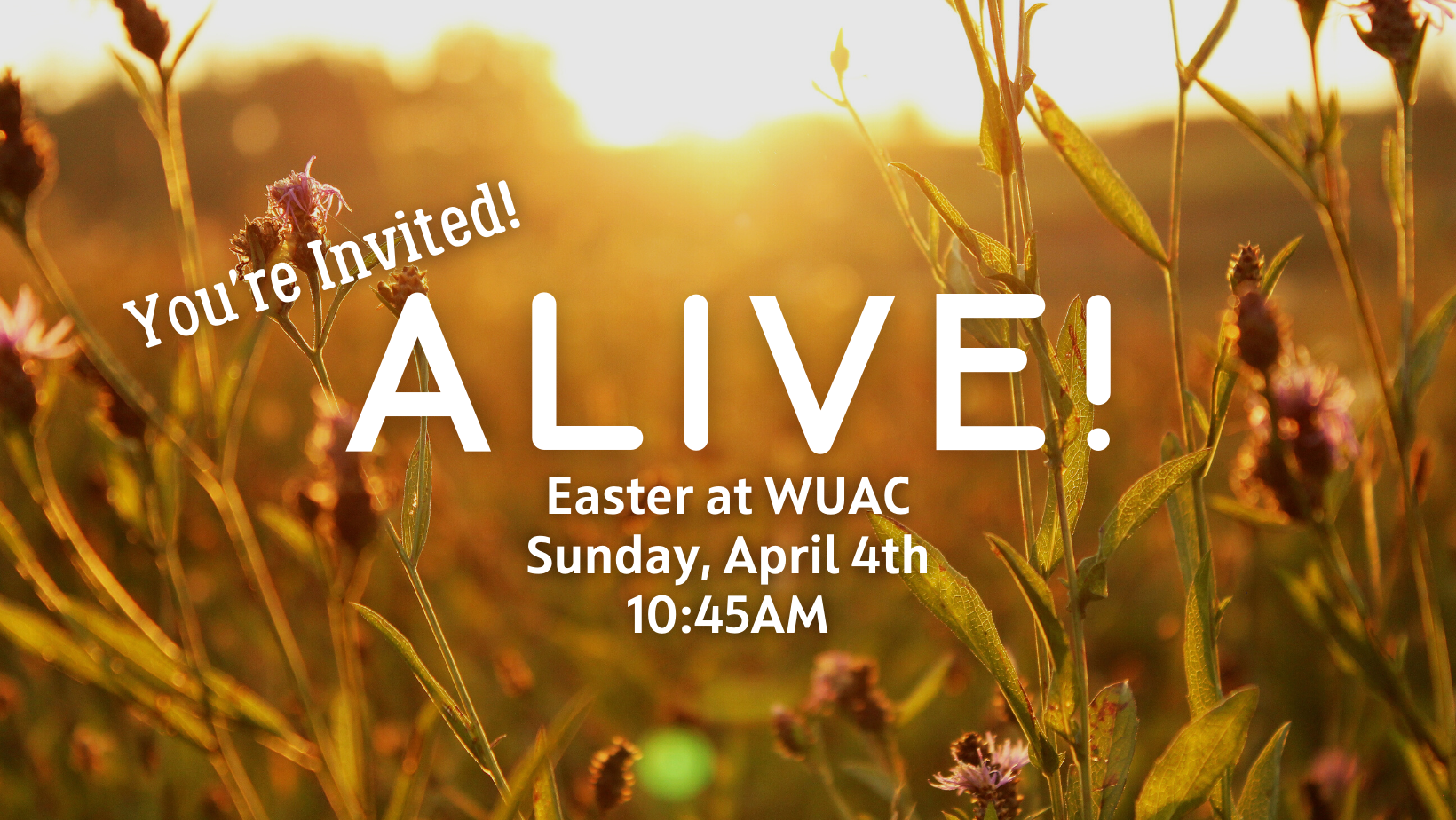 "Alive" (Easter Sunday)