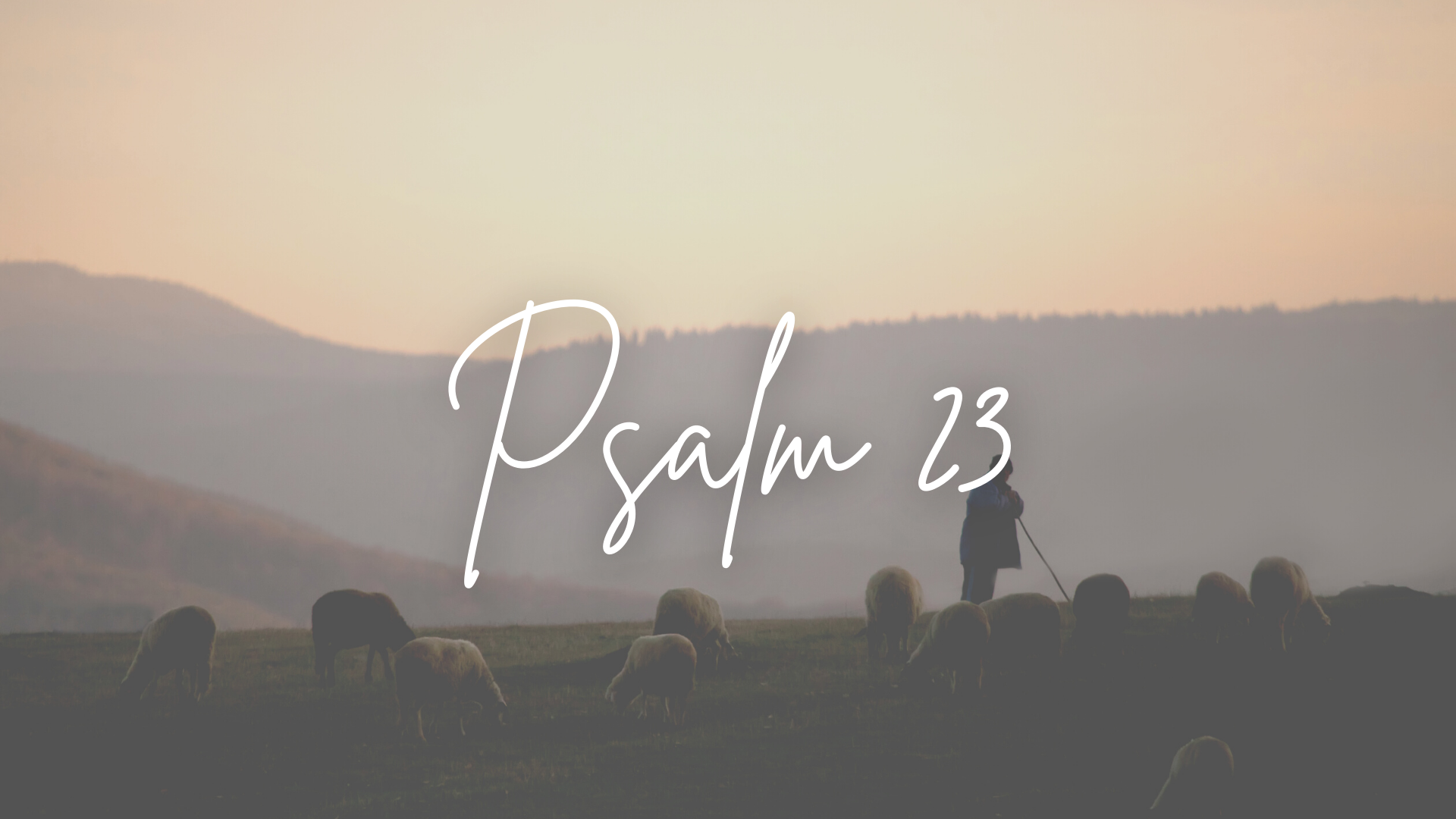 "The Twenty-Third - Is it True?"