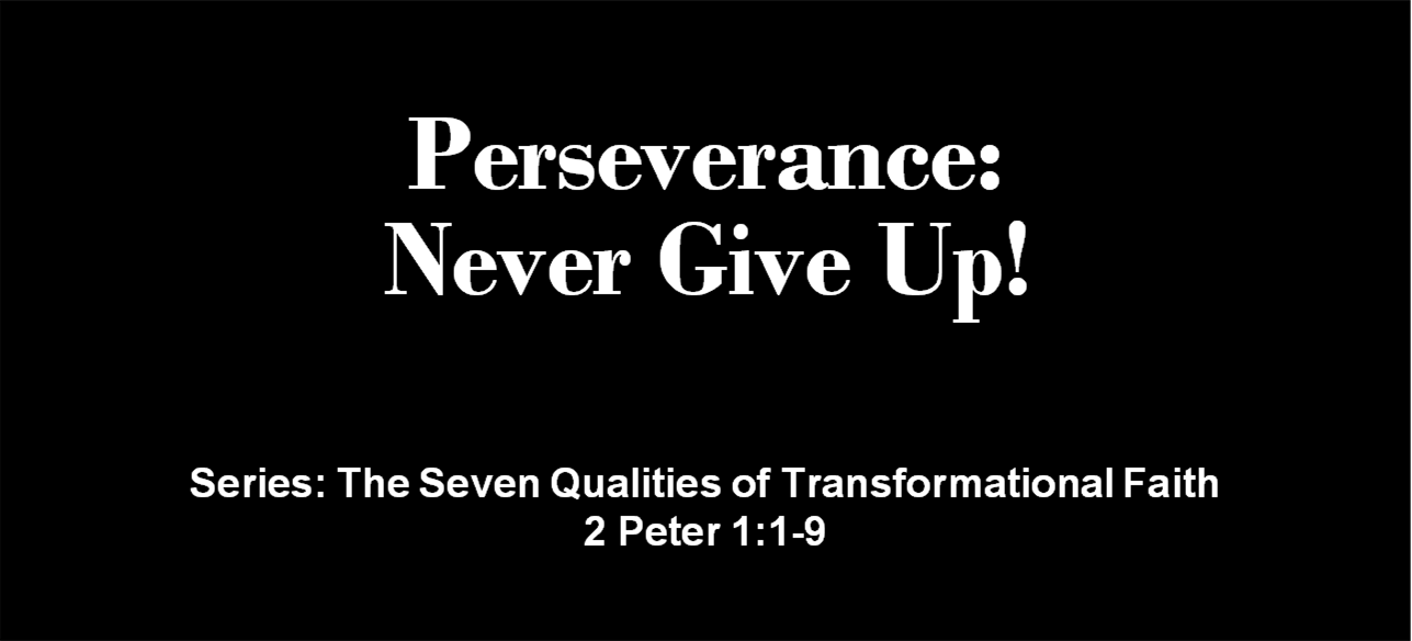 "Perseverance: Never Give Up!"