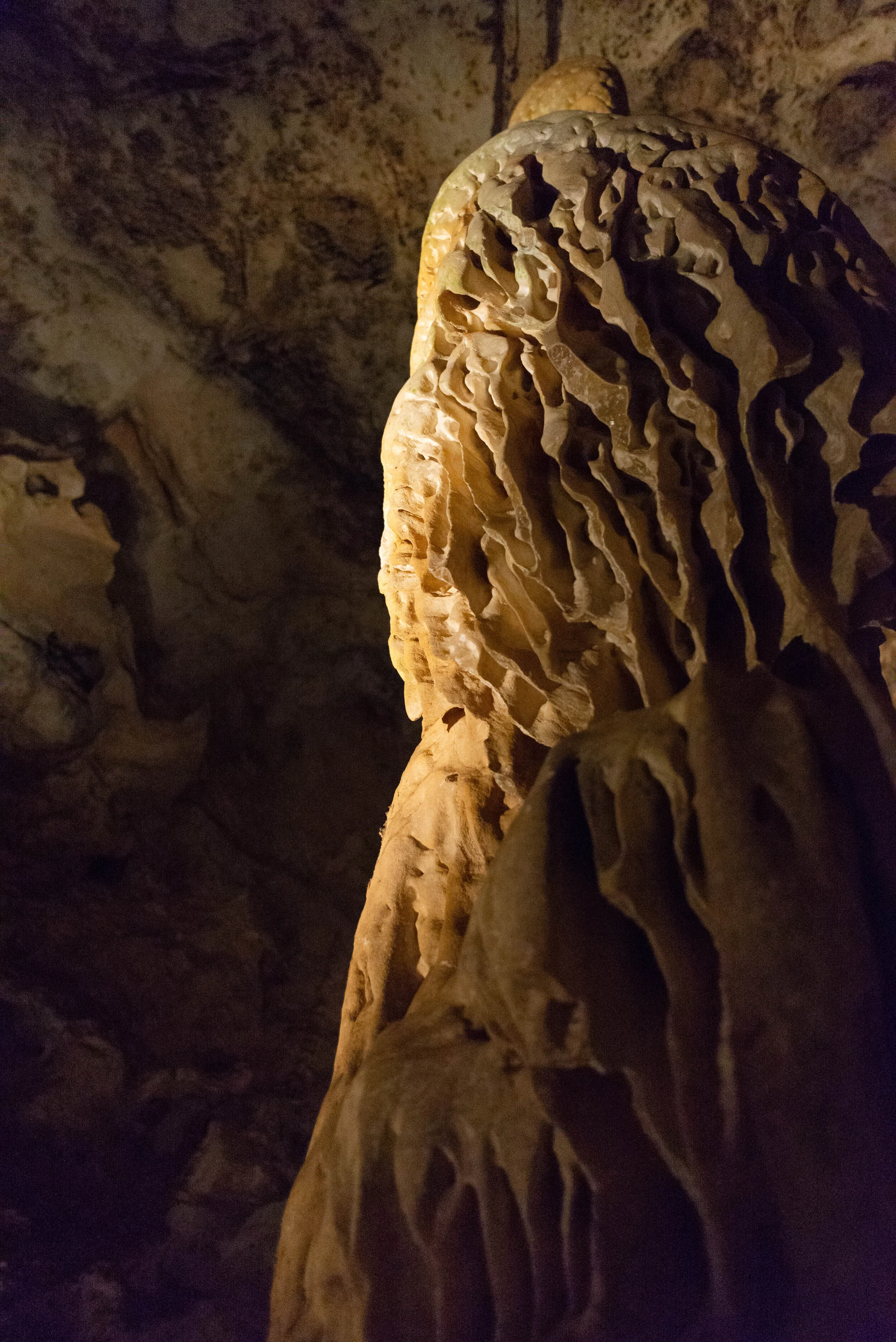 DSC_0312.jpg