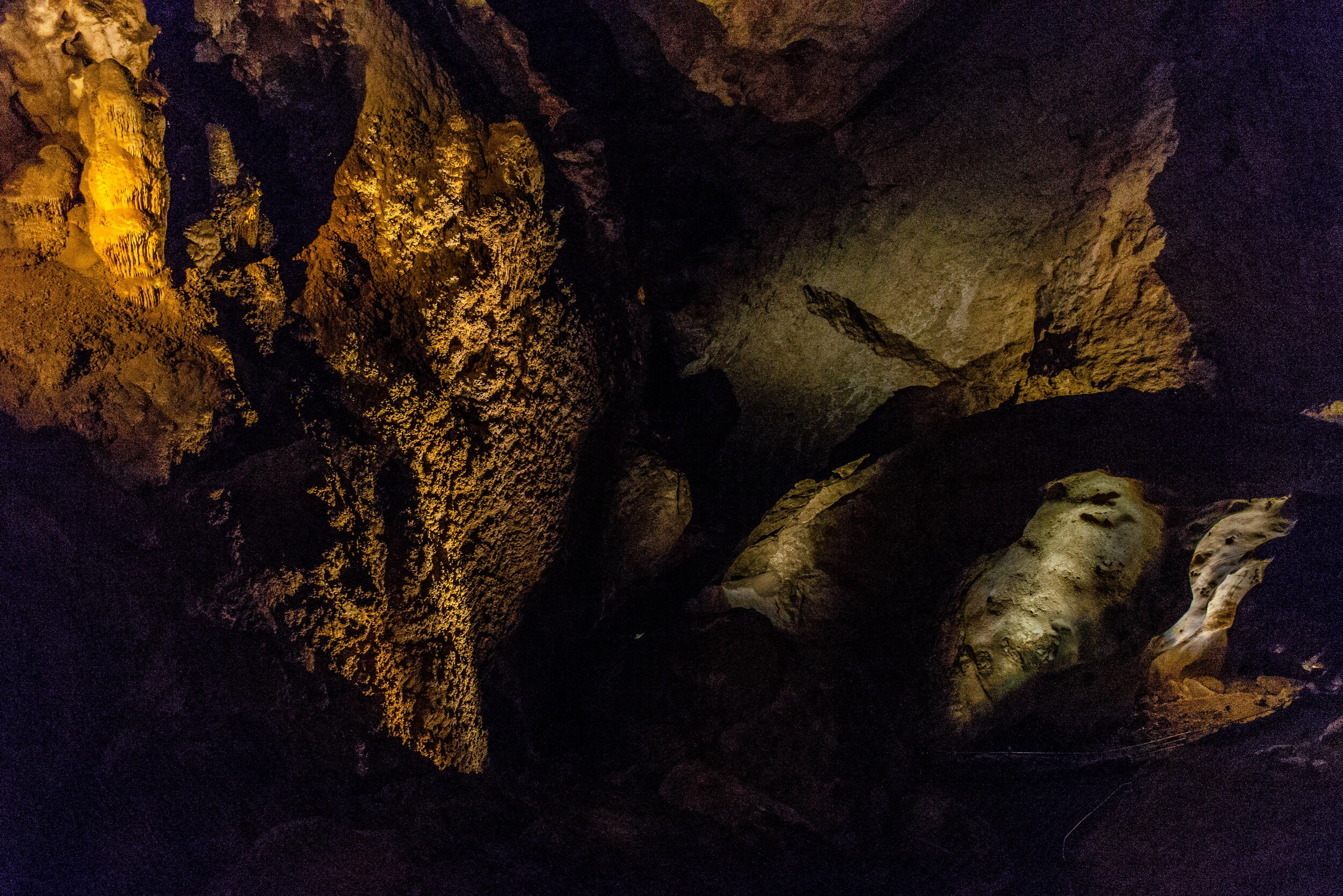 DSC_0313.jpg