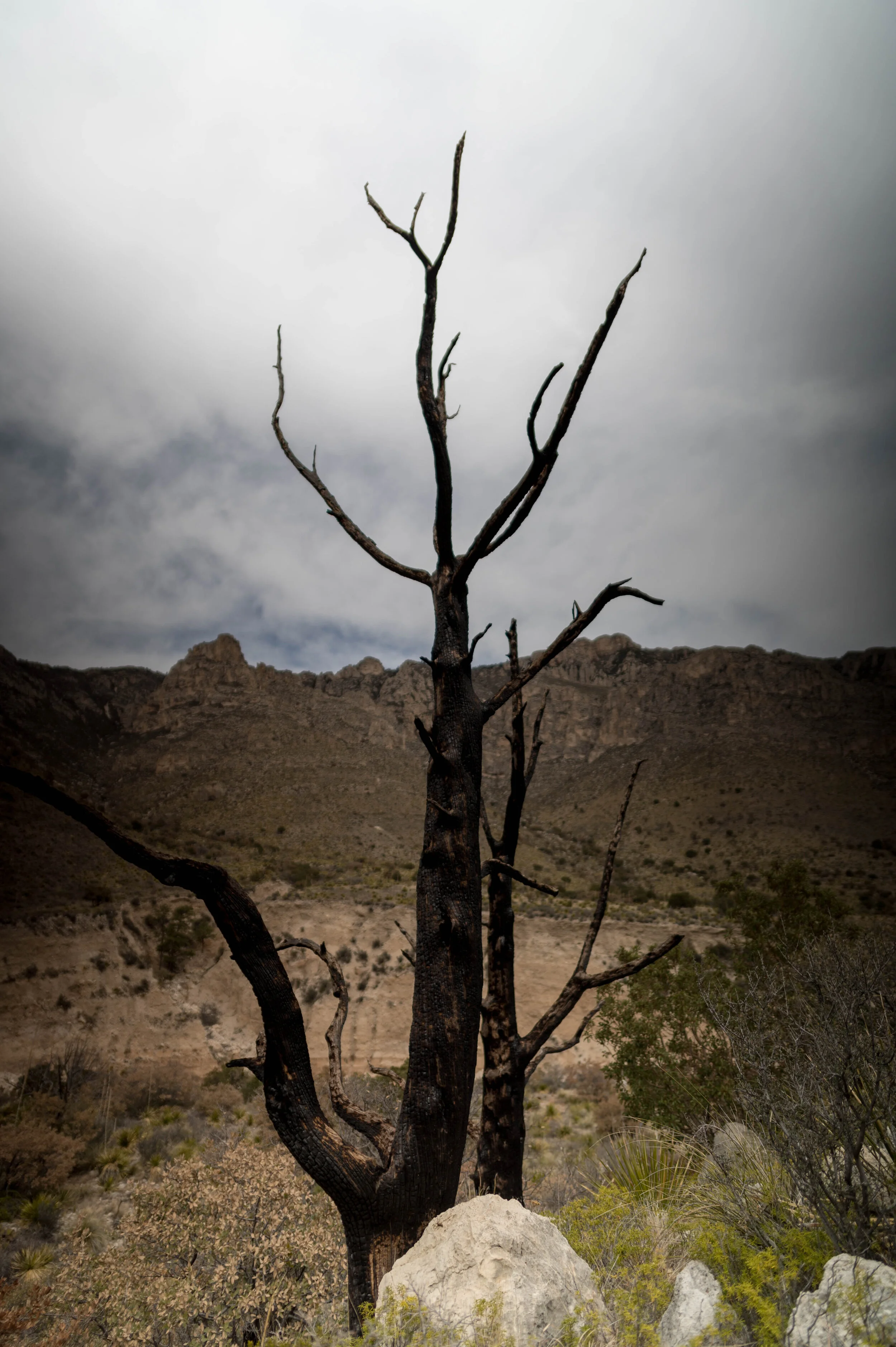 DSC_0580.jpg