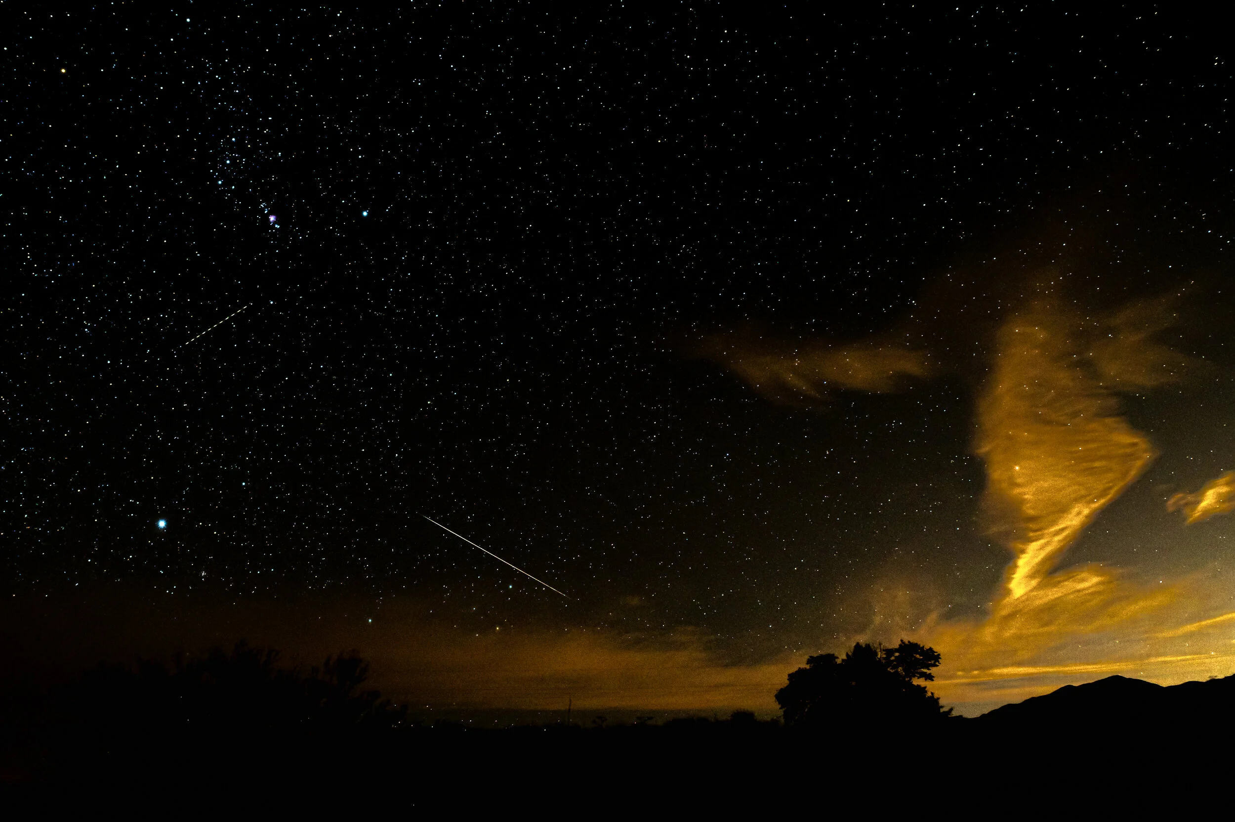 DSC_4667-Edit.jpg