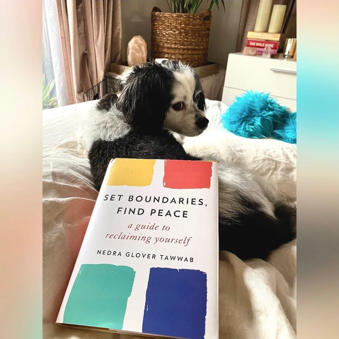 I&rsquo;ve been waiting for this book to arrive and now it&rsquo;s here! Follow @nedratawwab and check out this book. You can find it at @bookshop_org or at my link in bio under &ldquo;books&rdquo;

Oh, #notanad ☺️ 

End the struggle, speak up for what you need, and experience the freedom of being truly yourself. 

Healthy boundaries. We all know we should have them--in order to achieve work/life balance, cope with toxic people, and enjoy rewarding relationships with partners, friends, and family. But what do "healthy boundaries" really mean--and how can we successfully express our needs, say "no," and be assertive without offending others? 

Licensed counselor, sought-after relationship expert, and one of the most influential therapists on Instagram Nedra Glover Tawwab demystifies this complex topic for today's world. In a relatable and inclusive tone, Set Boundaries, Find Peace presents simple-yet-powerful ways to establish healthy boundaries in all aspects of lif