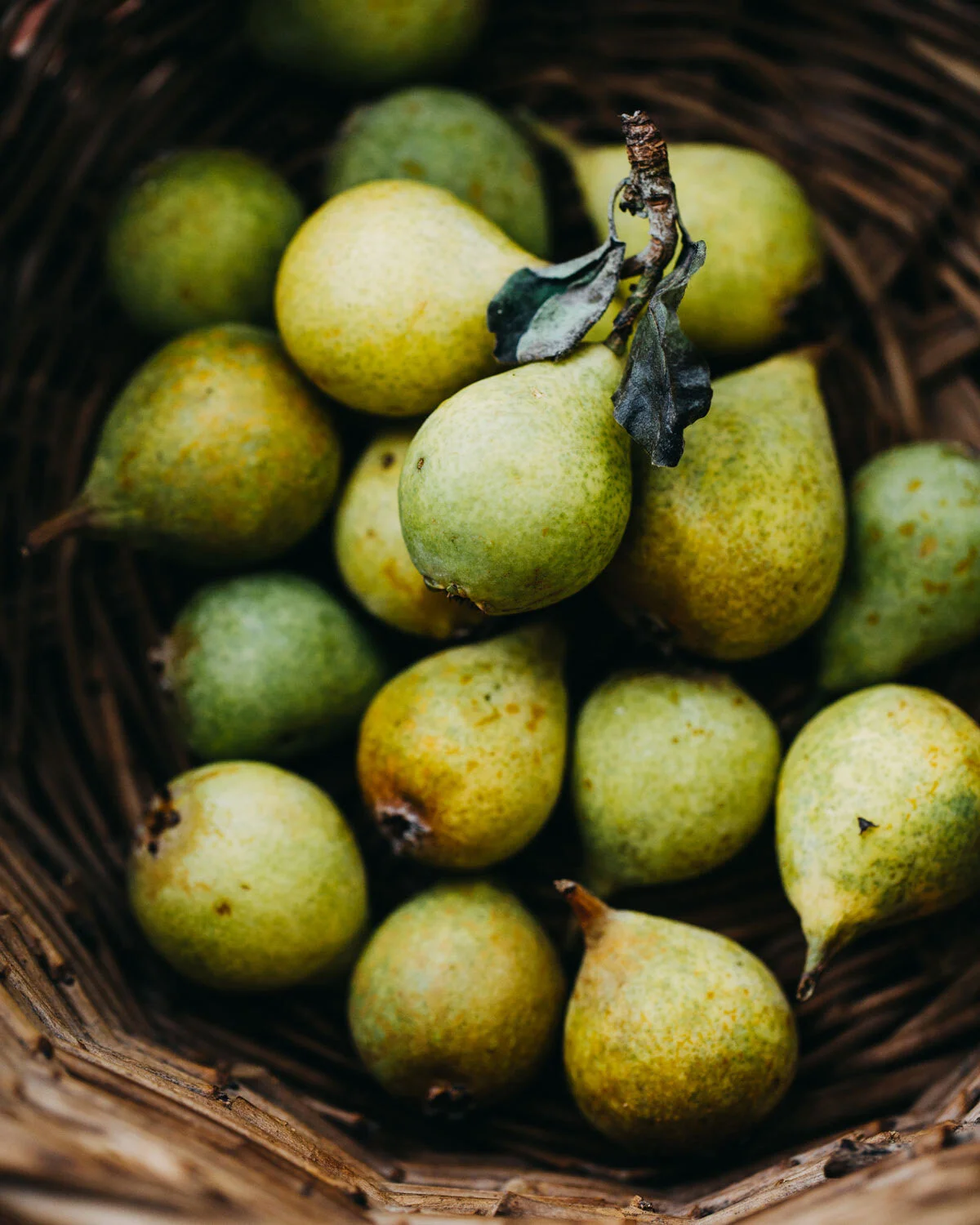 Marina Jerkovic Food Photography Pear Tart Free Work