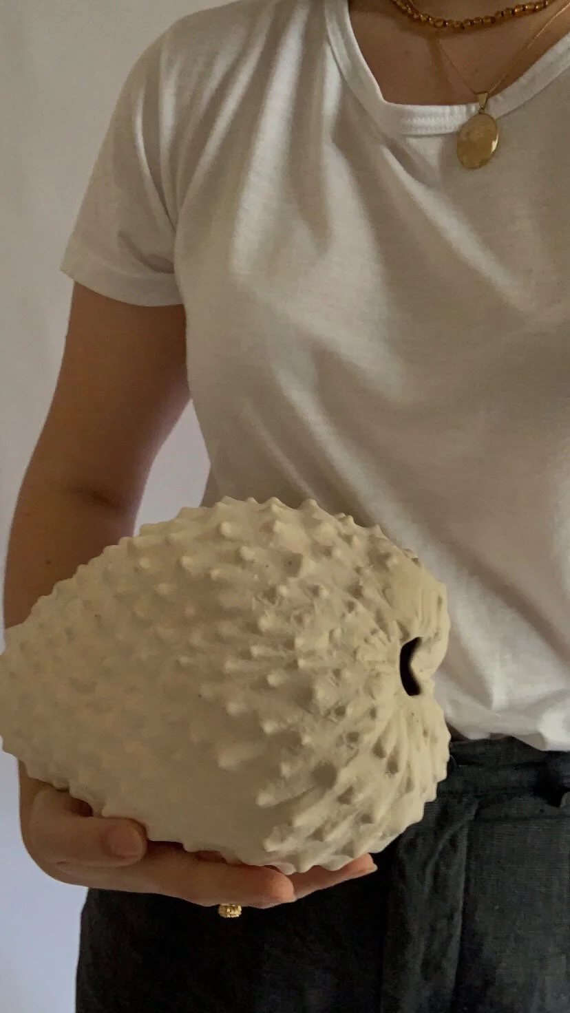 2B555AD2-8854-40CF-AE96-8BA5B27B3064