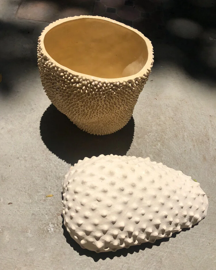 FC058F60-AFEE-4753-A9FC-71D87E038E2C