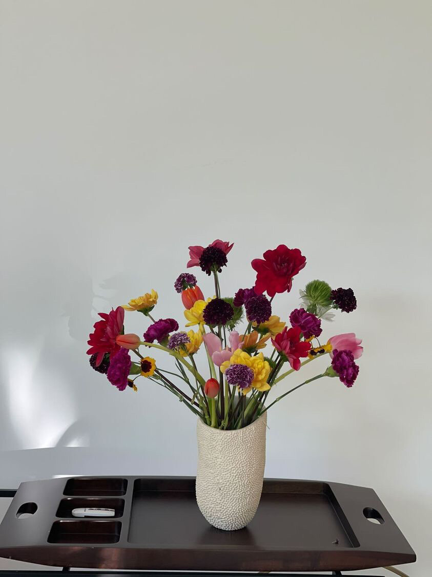 4C05A840-8DB8-4B81-8129-F77F73C1022D