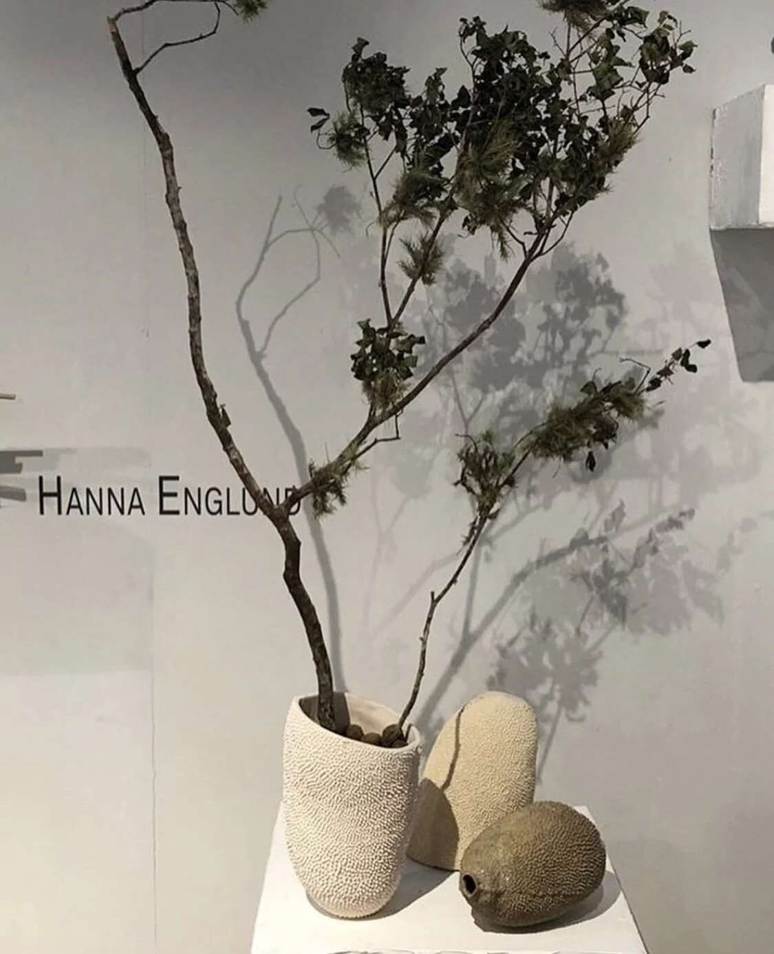 24F3C1F6-0565-44AC-921C-B74798FE9F16