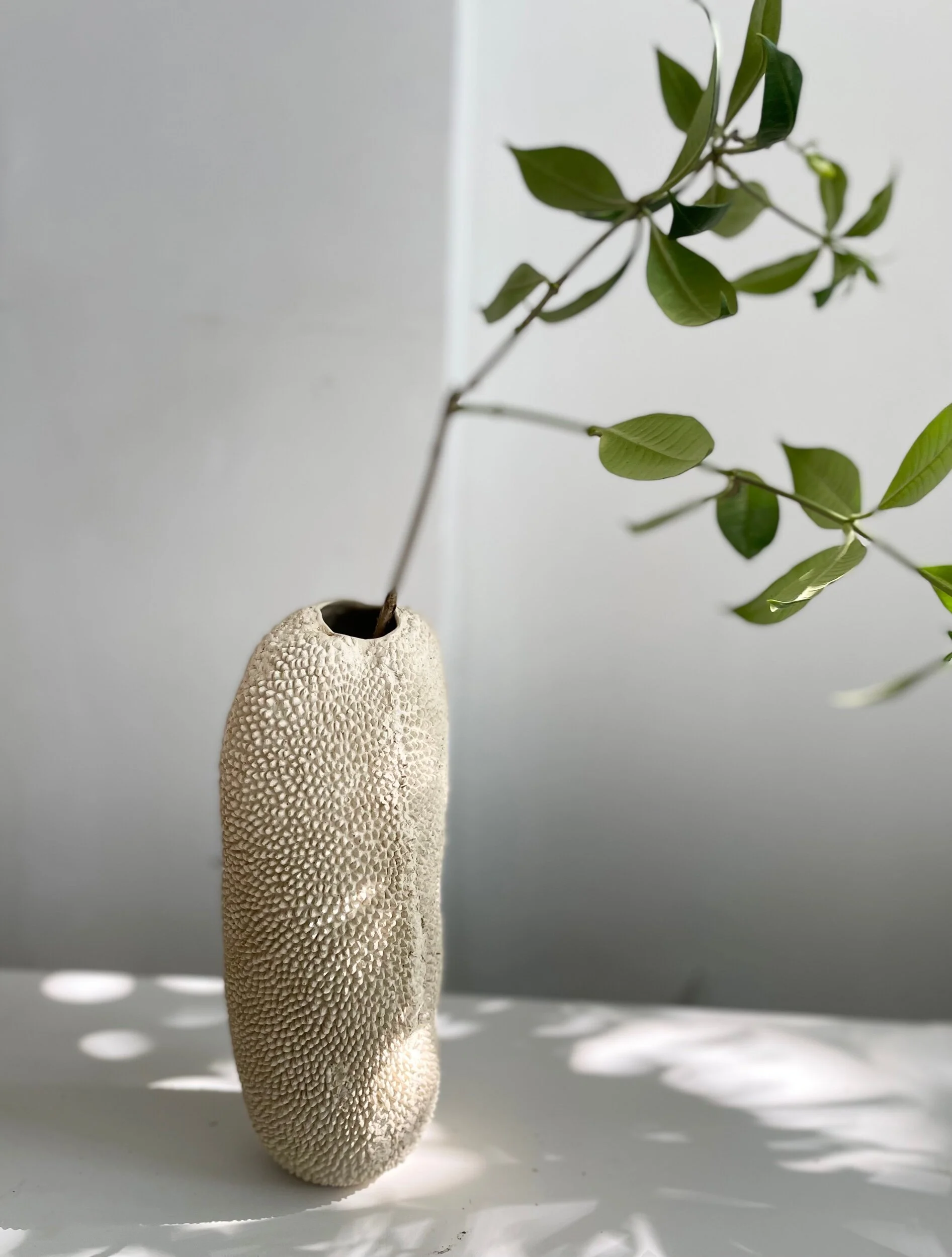 F3932F99-36DC-4325-9D07-1741886754FD