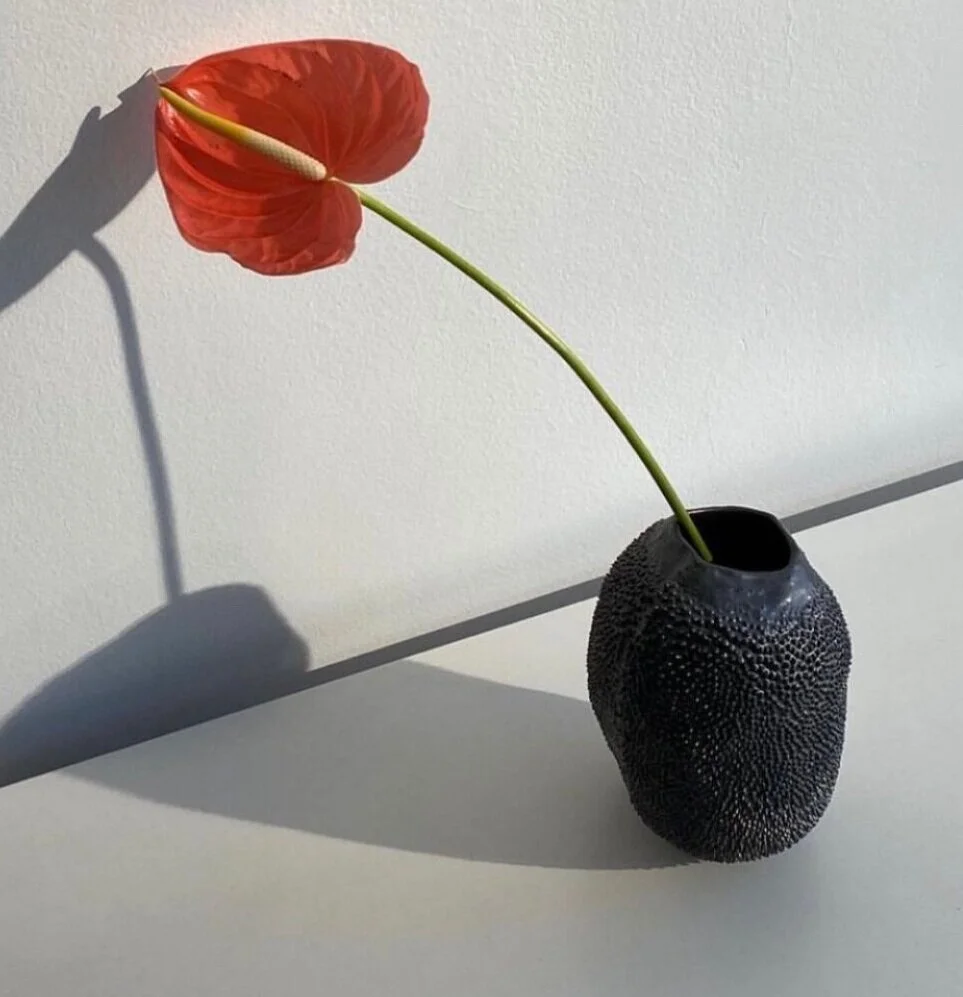 423BF064-2AA2-4C85-8F4F-D0BBF966E423