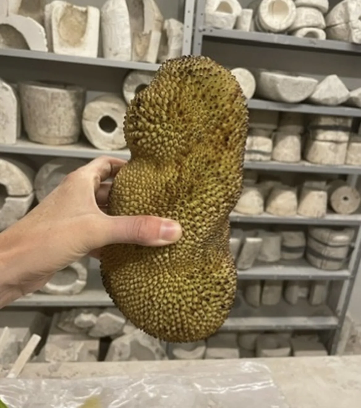 5E25C843-D902-468B-976E-B10D01BA76F6