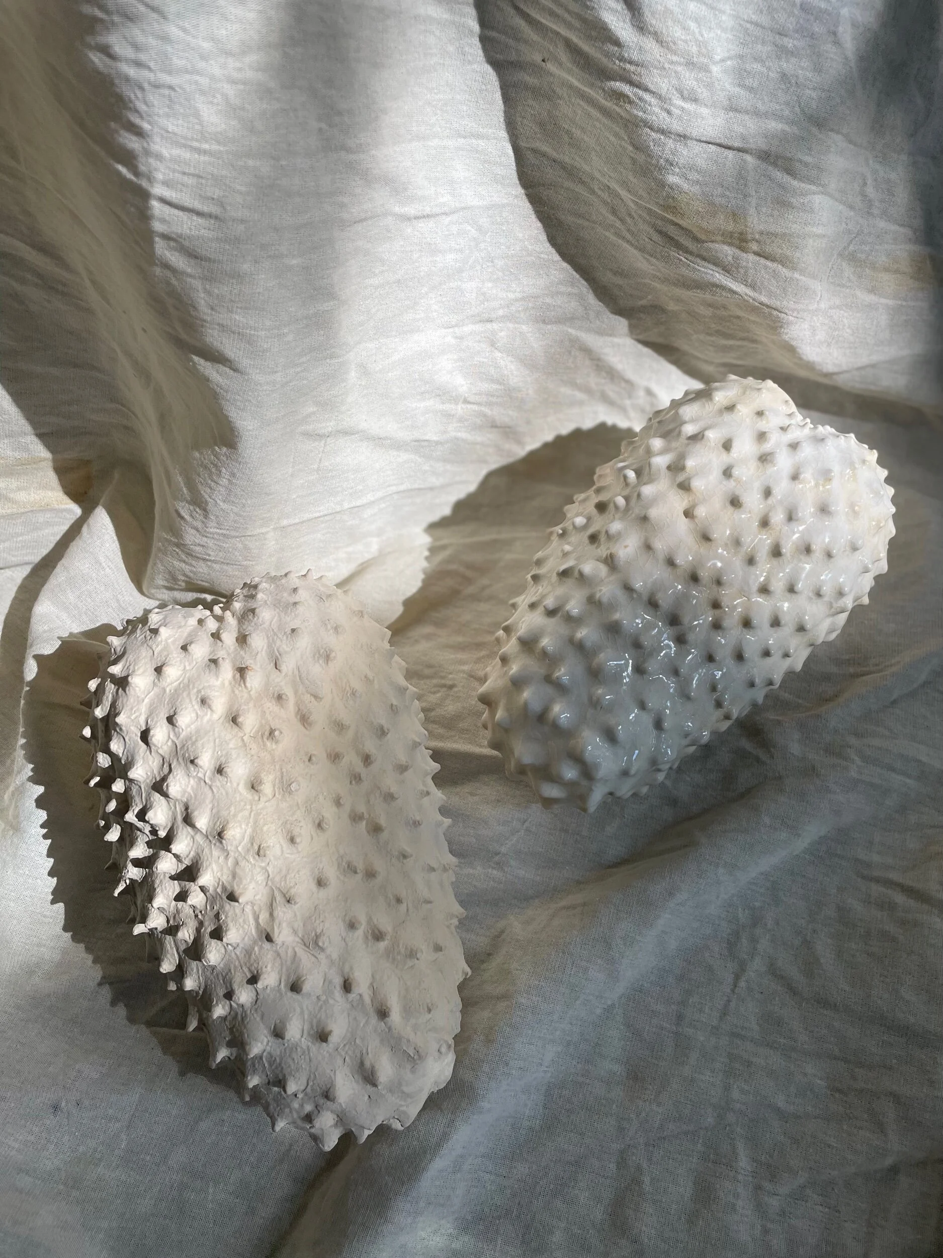 1AECC9FA-E3C9-47AA-8C2F-6EF4E659E45C