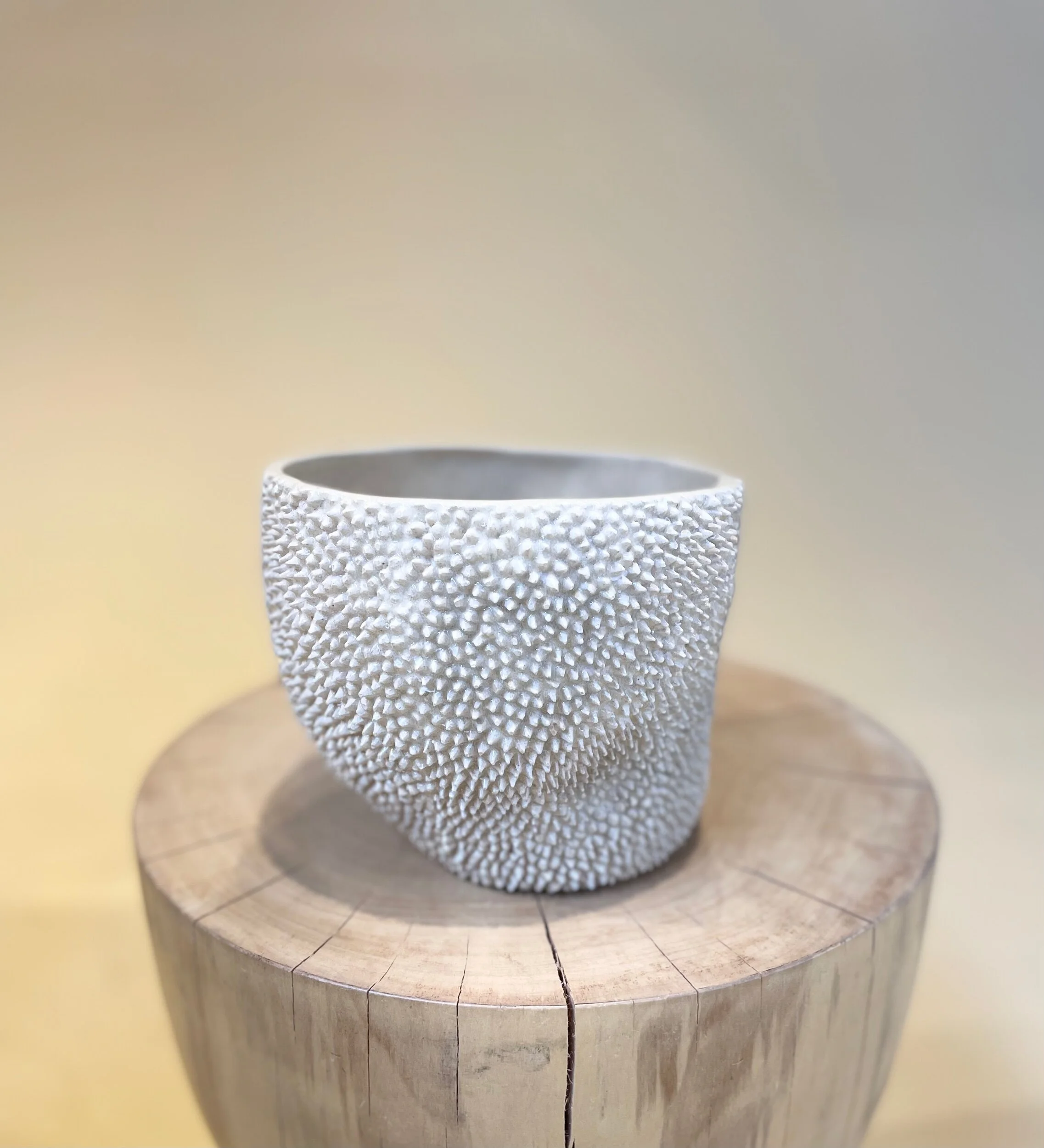 70D8DC68-86AF-44F2-8E04-F2127E09C199