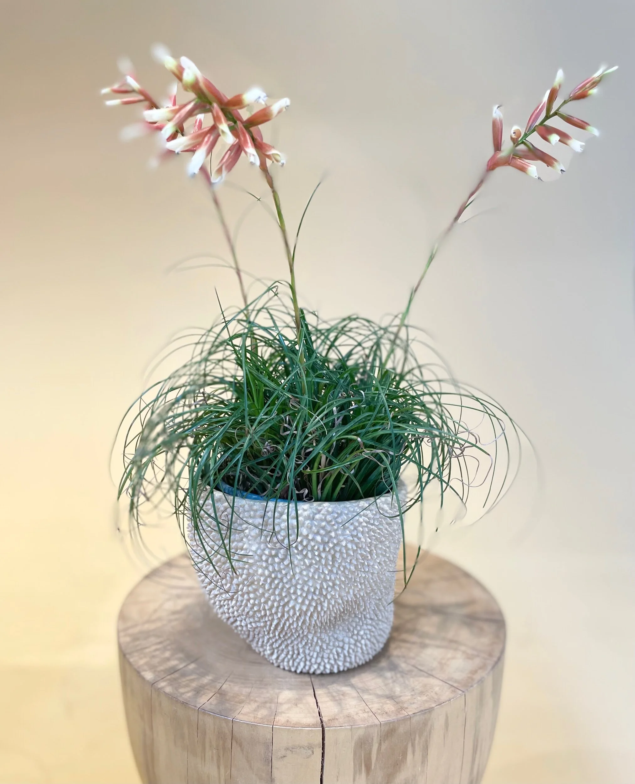 034D88D5-E1FF-4D80-8BA8-26B3BE3C1F96