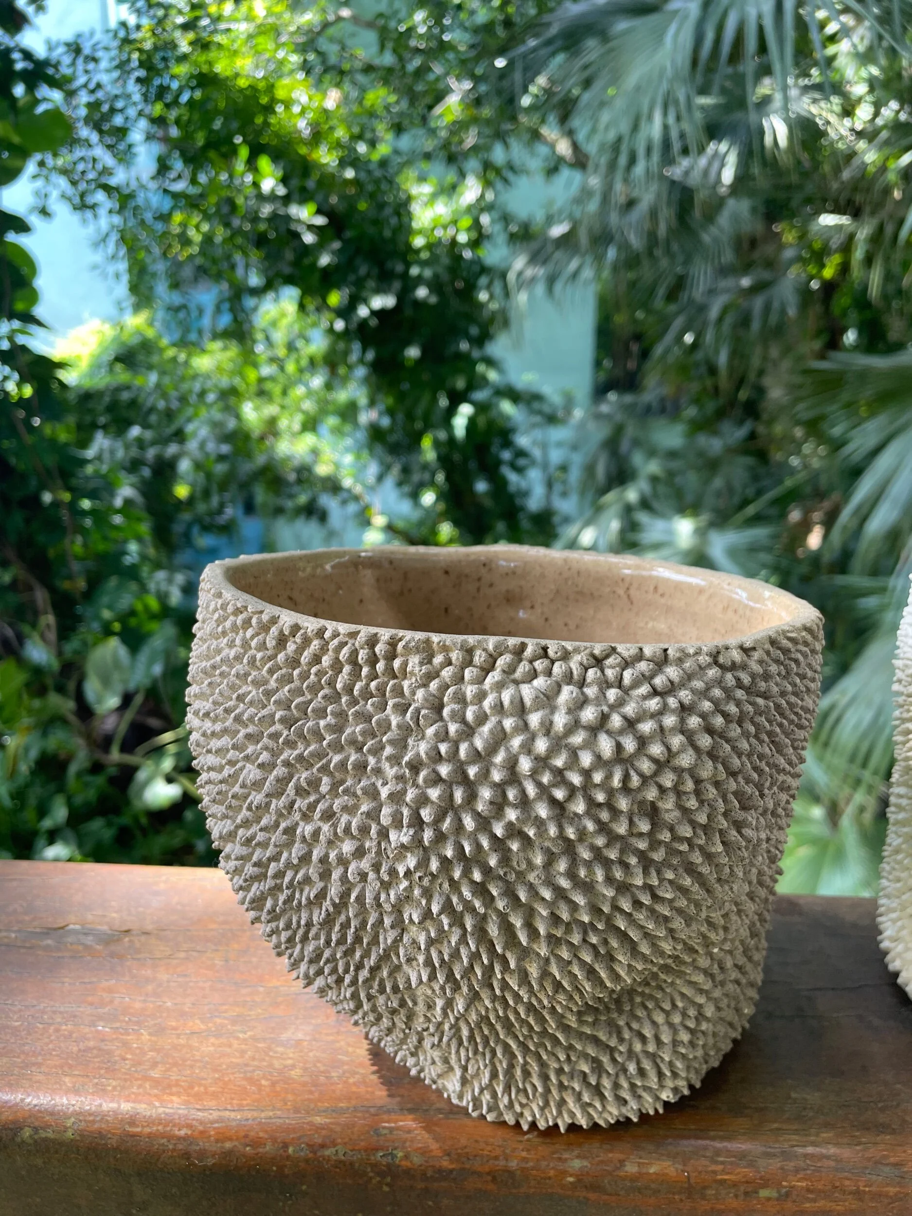 55B2F46B-F7BF-4FCA-89EE-8CB6C1D61FA5