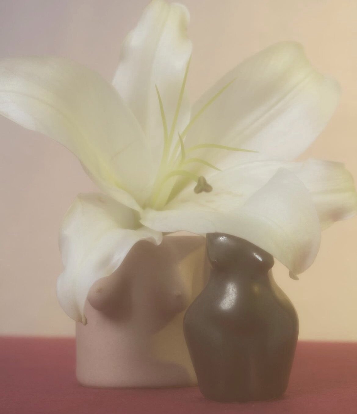 44313206-D38F-49AB-BAAA-03CCCA265FF6