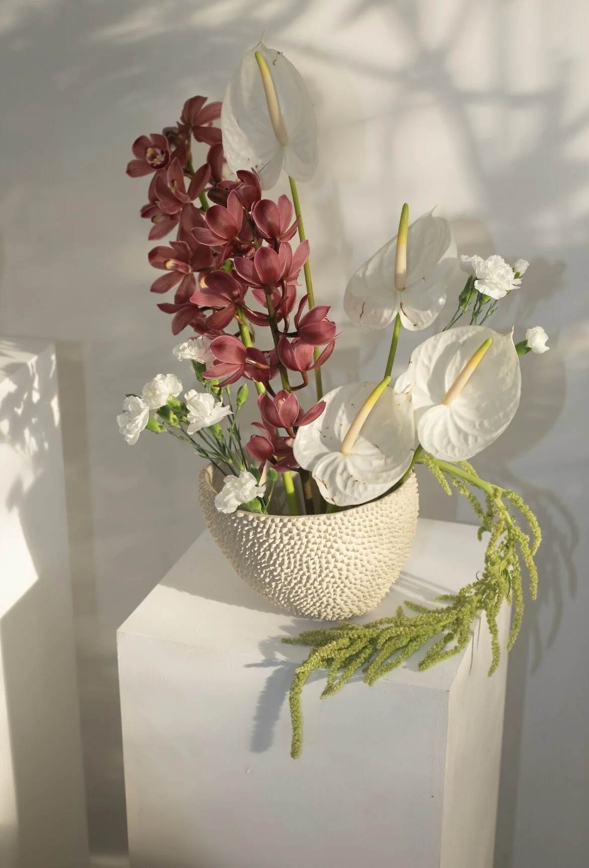 2654CAE5-9197-4ED6-BABE-5E4ADD9969C1