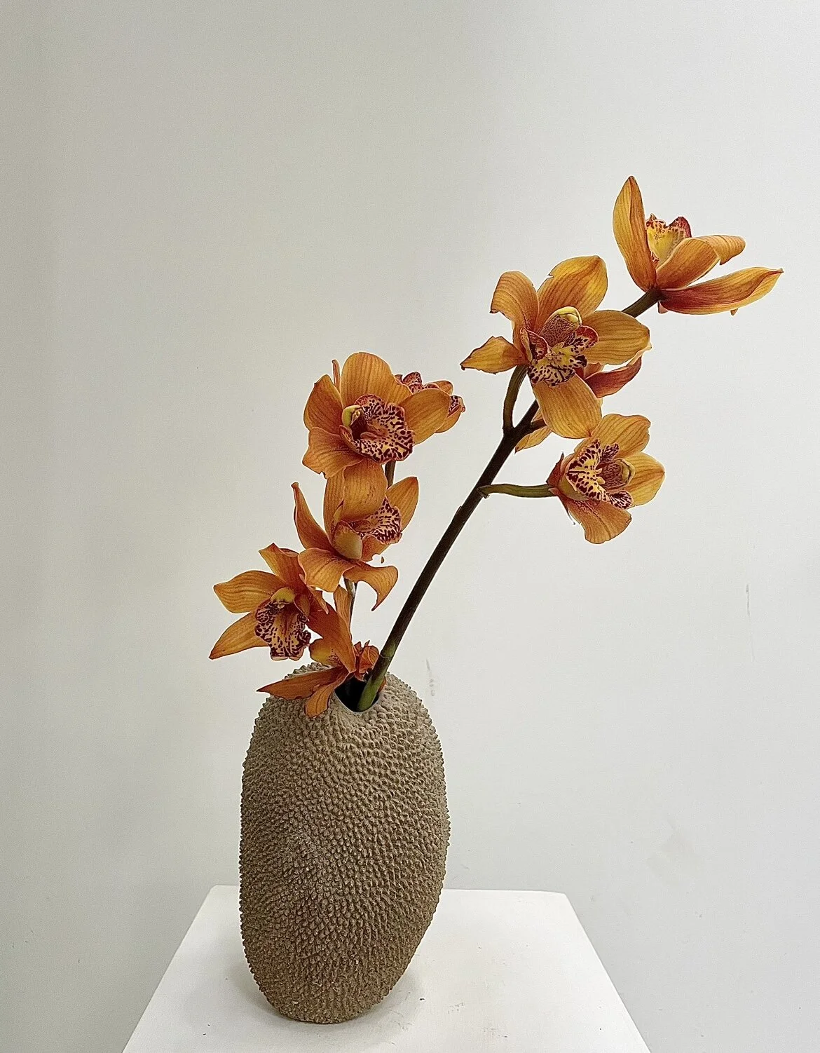 E9964D5B-5CD0-4499-9CAC-3F30066C019F