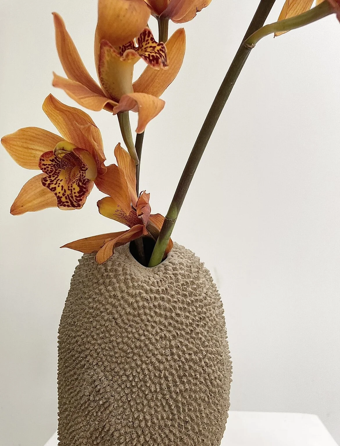 09421693-5539-426E-903C-FB94EB9CB544