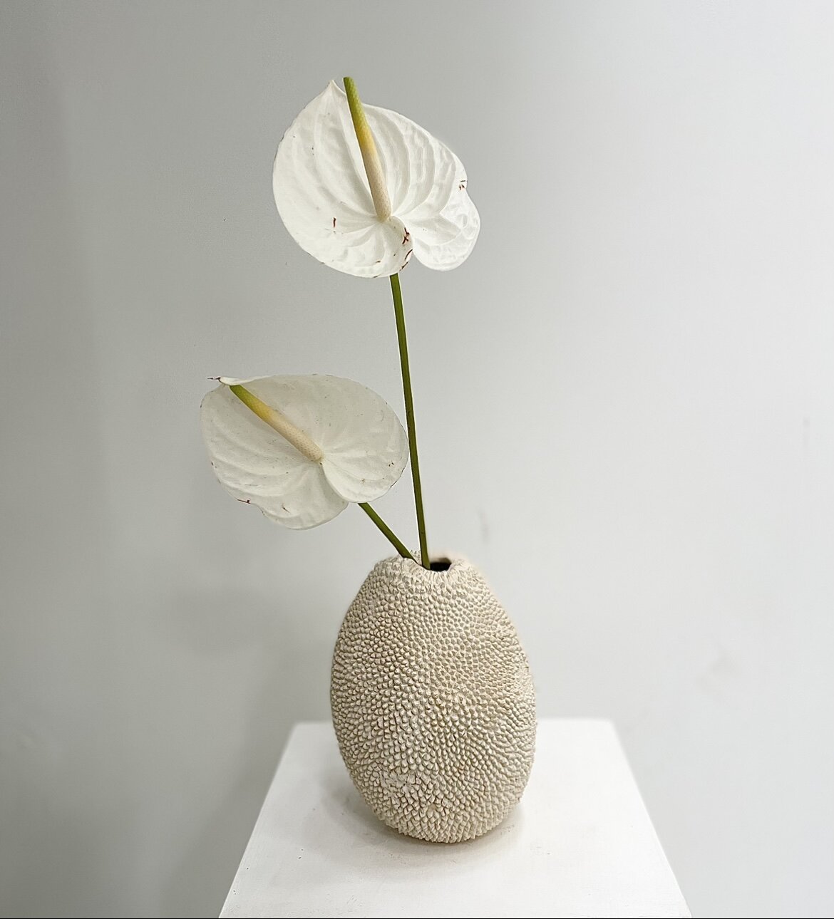 B649BD79-34C8-4EAF-98E3-233D20622034