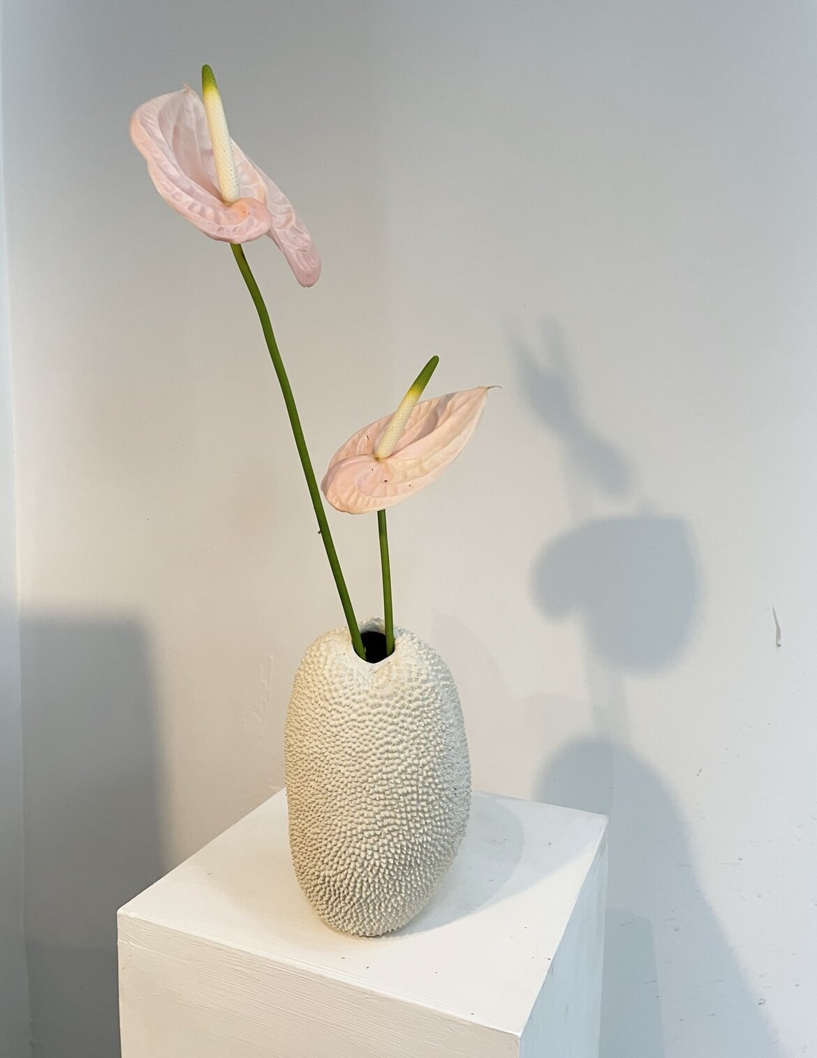 FC78E1E2-963B-4337-9FF1-AB6818198838