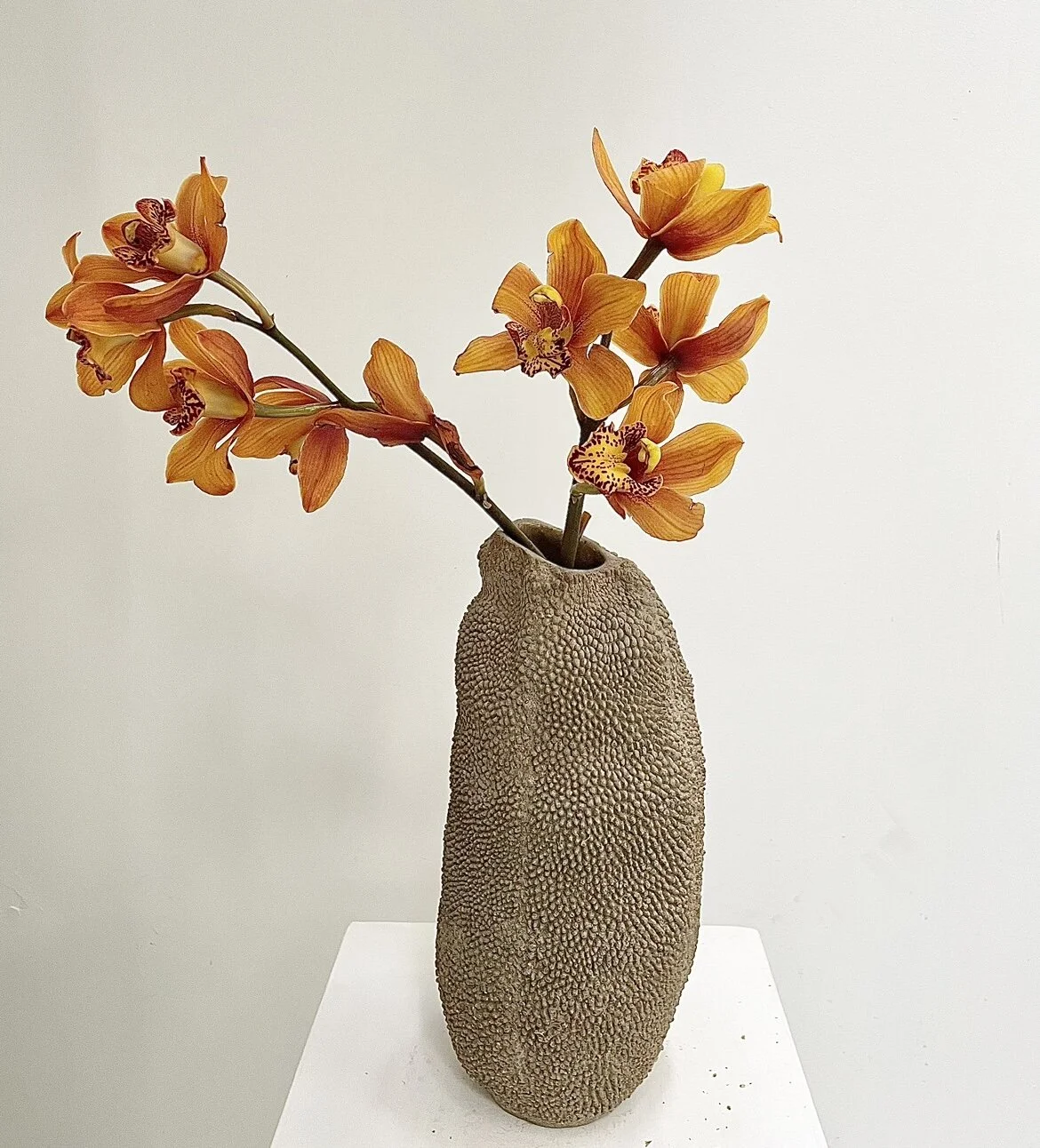 F9F5F7E5-60A0-4461-998C-A1AAA1687030