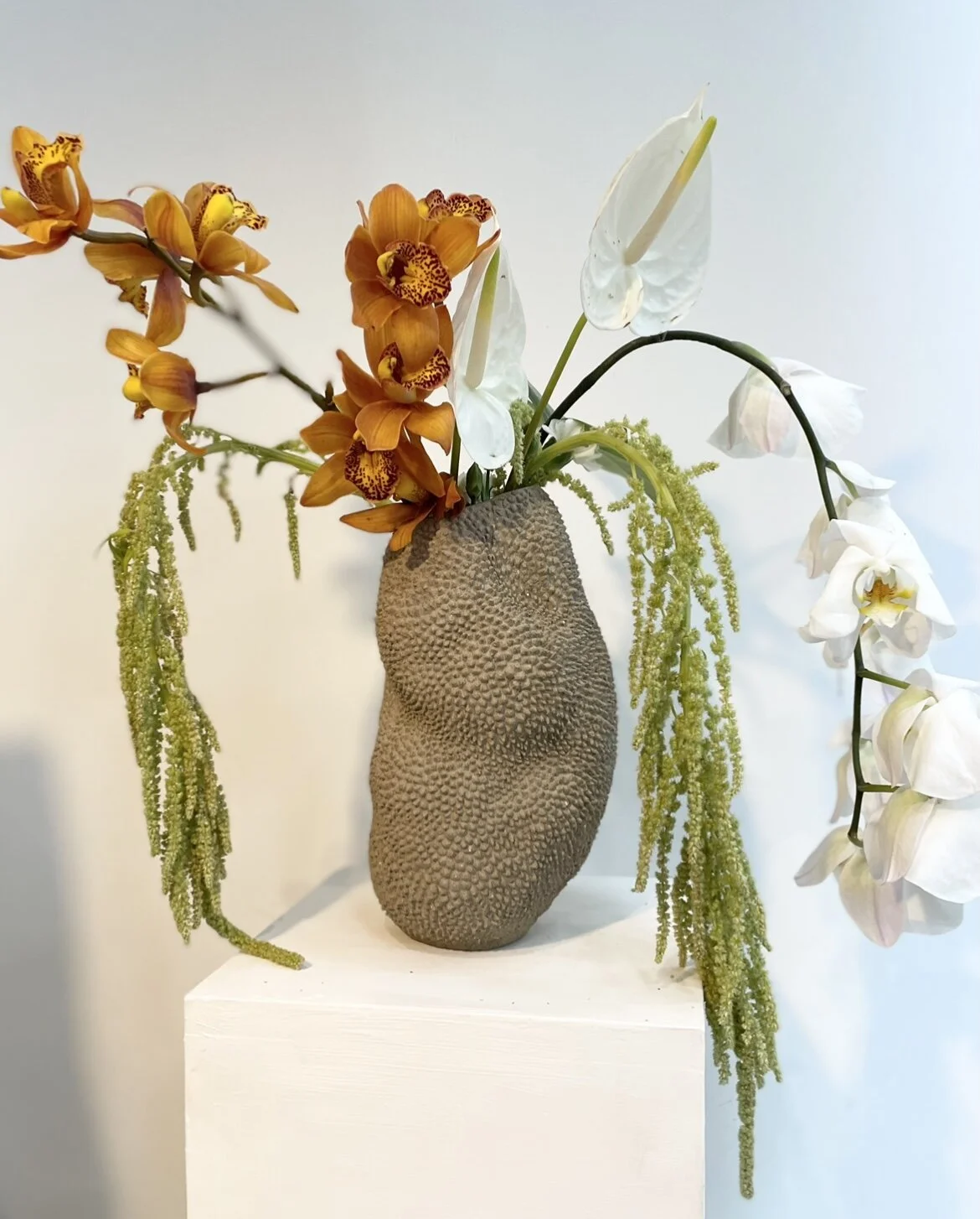 39C2CA56-9C9A-4C28-952B-22E213D6BFC5