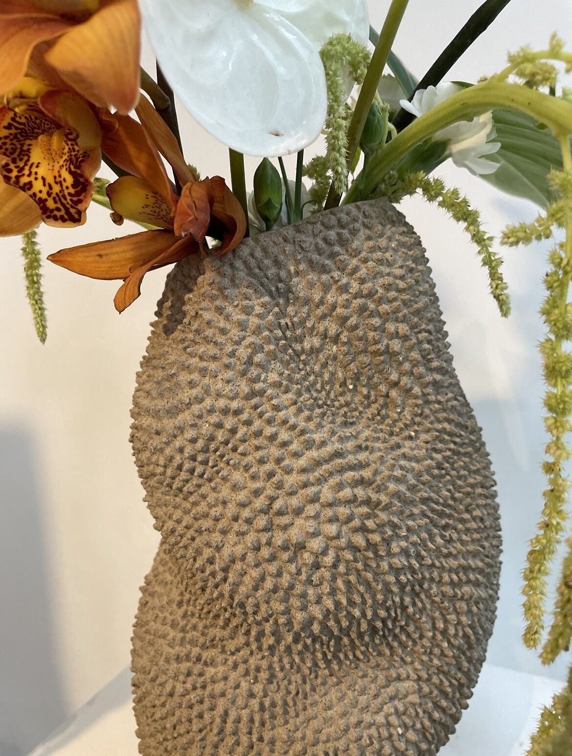 911FA0F8-D165-4DC2-B4F7-87B5B69AEA8E