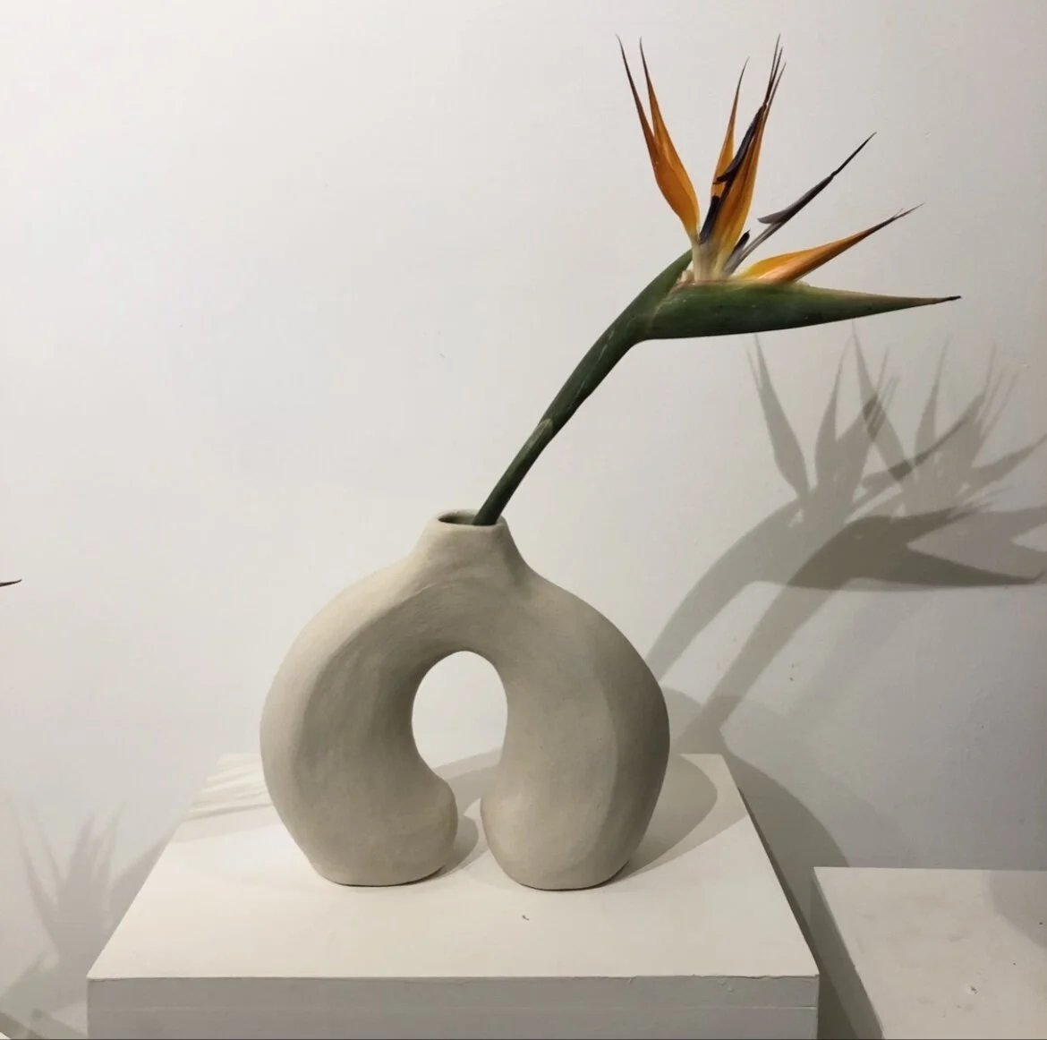 AA14ED46-623E-400E-ADAE-70DCE39E5F5E