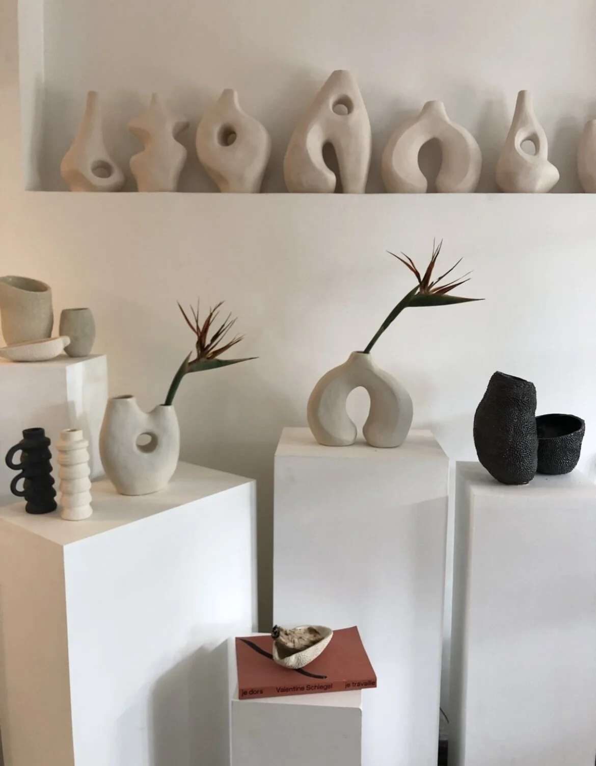 2EE2B976-CD77-46D7-9DD2-61A8CF419874