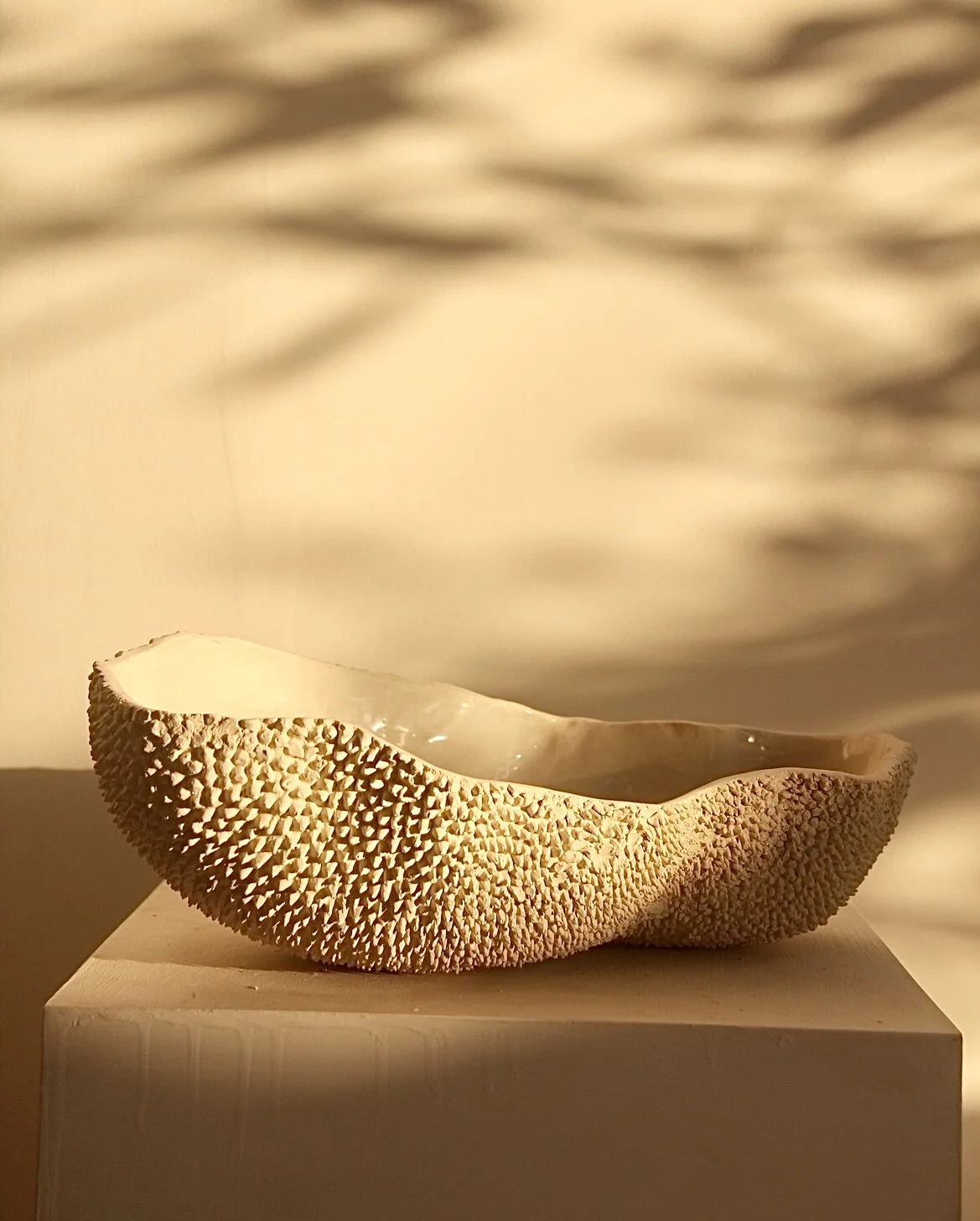 AE8F70F8-B5E1-4EF8-92A6-768033B3F668