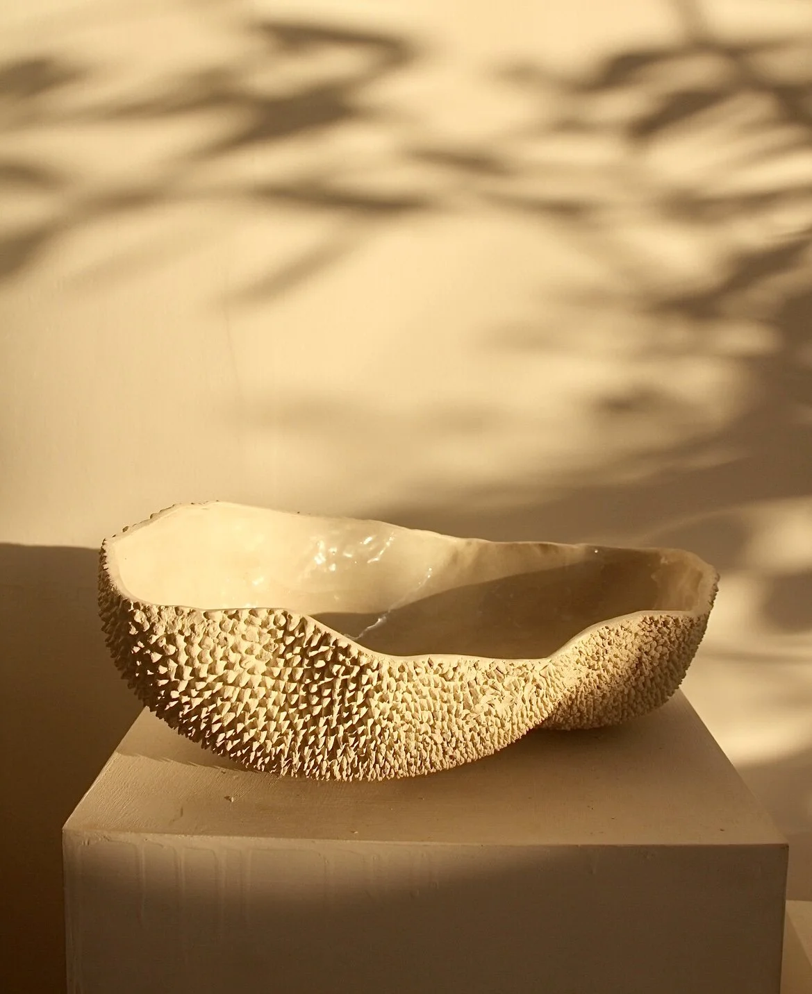 B4F80CC3-3A56-44E6-8CE5-EF355693856E